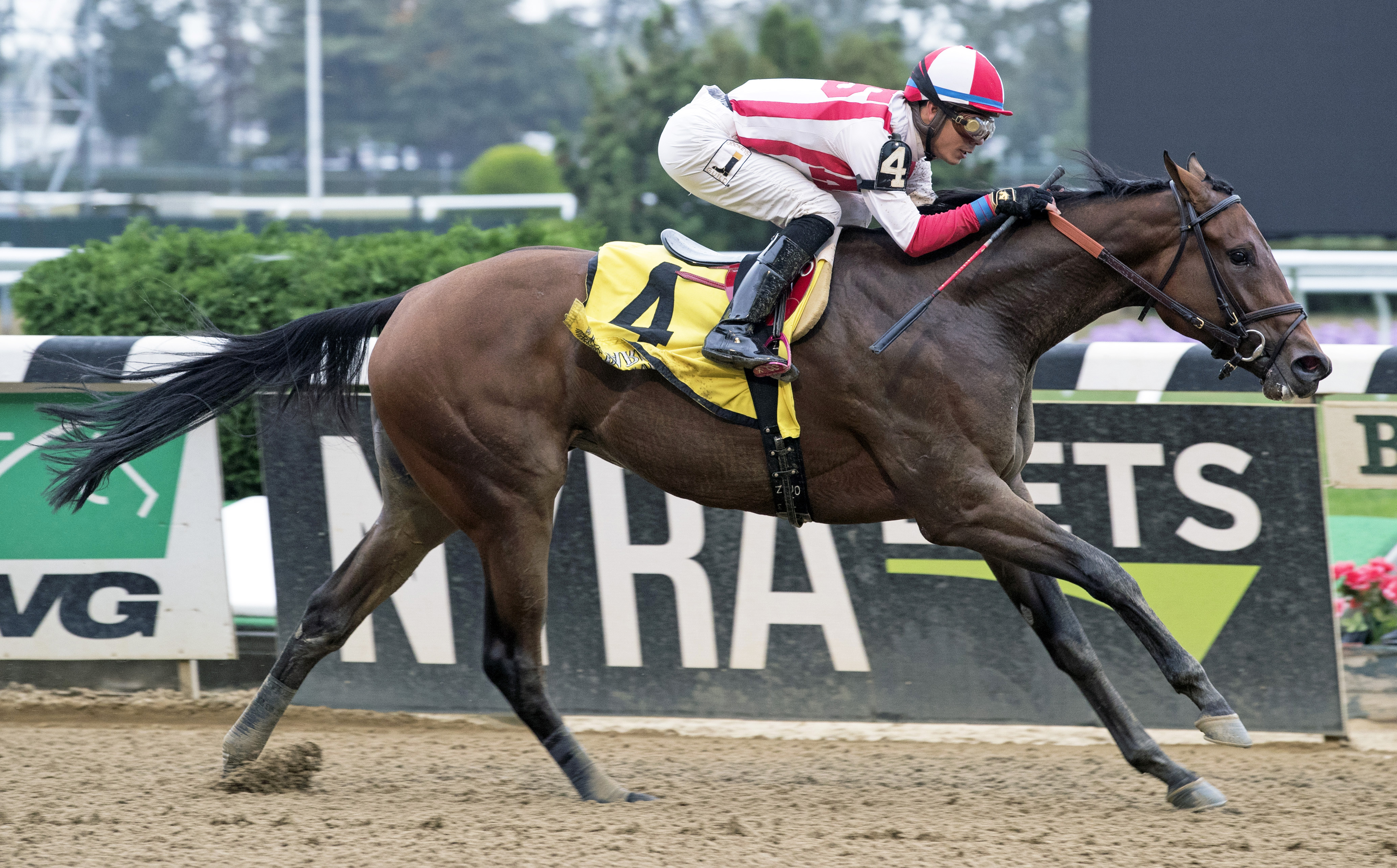 Separationofpowers wins the 2017 Frizette Stakes