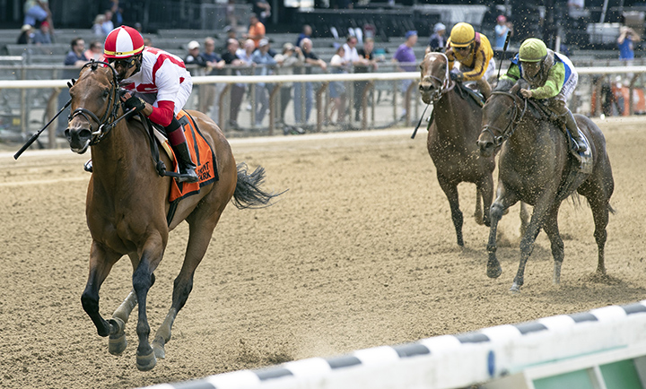 Separationofpowers wins the 2019 Bed o' Roses