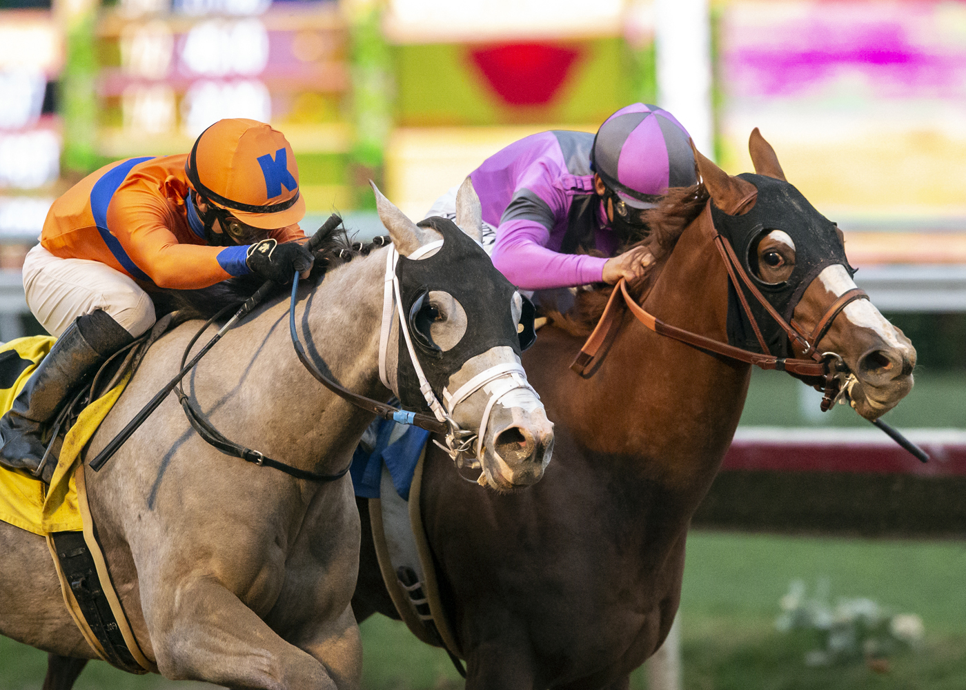 September Secret wins GS Juvenile Fillies 11-6-2020