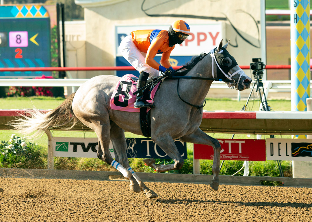 September Secret wins a July 24 maiden at Del Mar