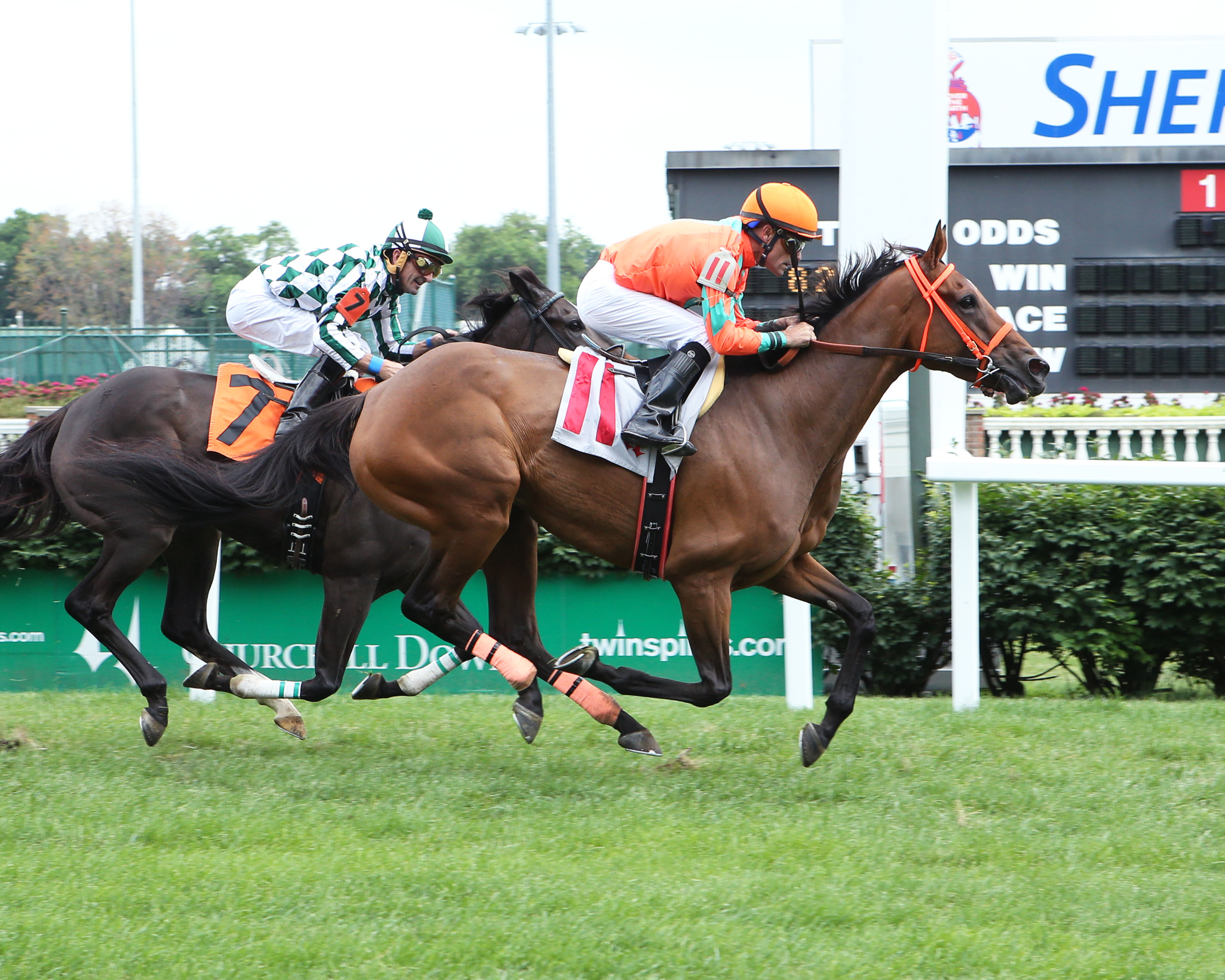 Sequiota wins an allowance race
