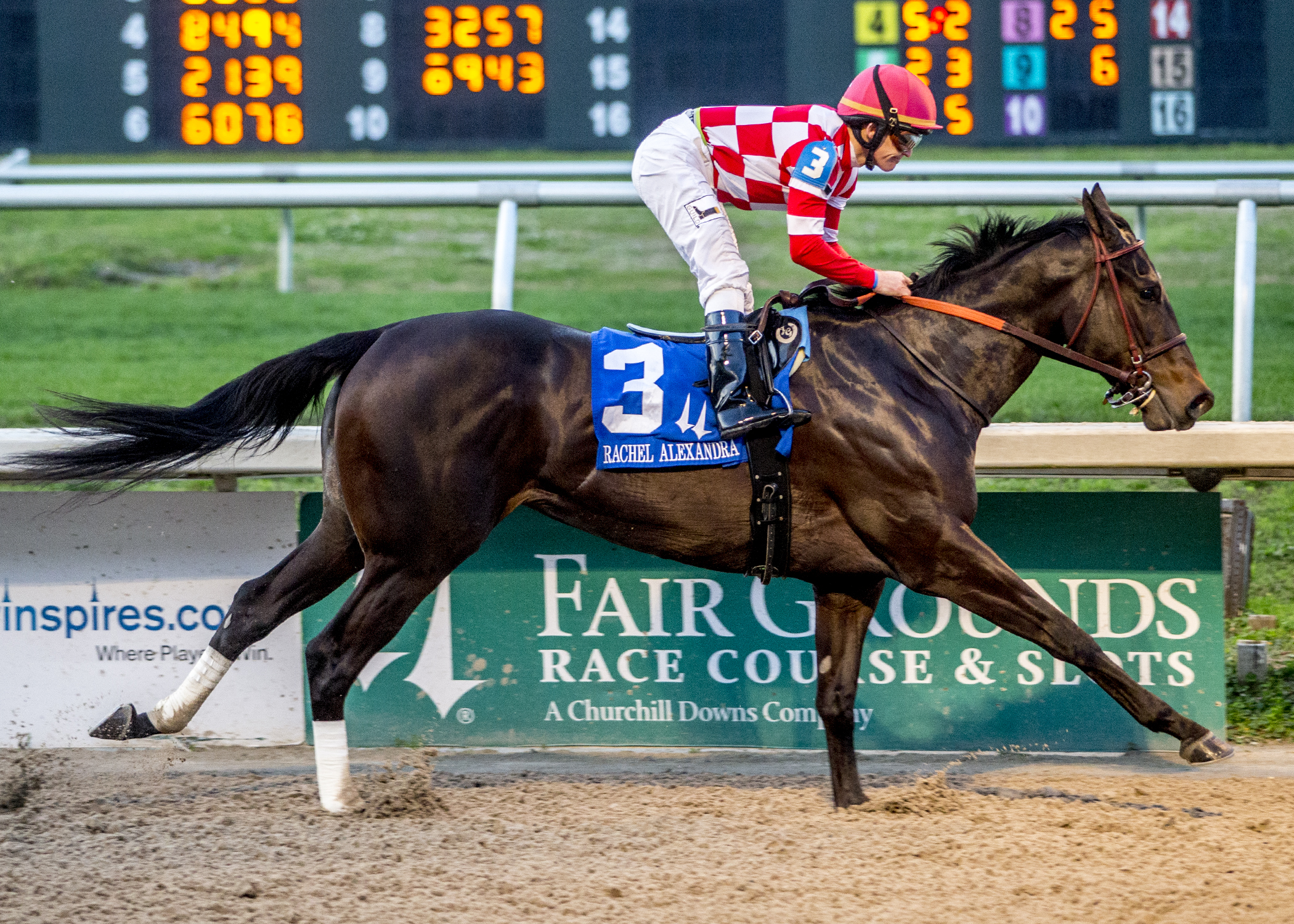 Serengeti Empress wins 2019 Rachel Alexandra
