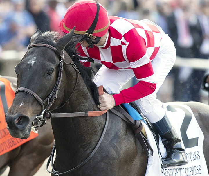 Serengeti Empress finishes seventh in the Fair Grounds Oaks