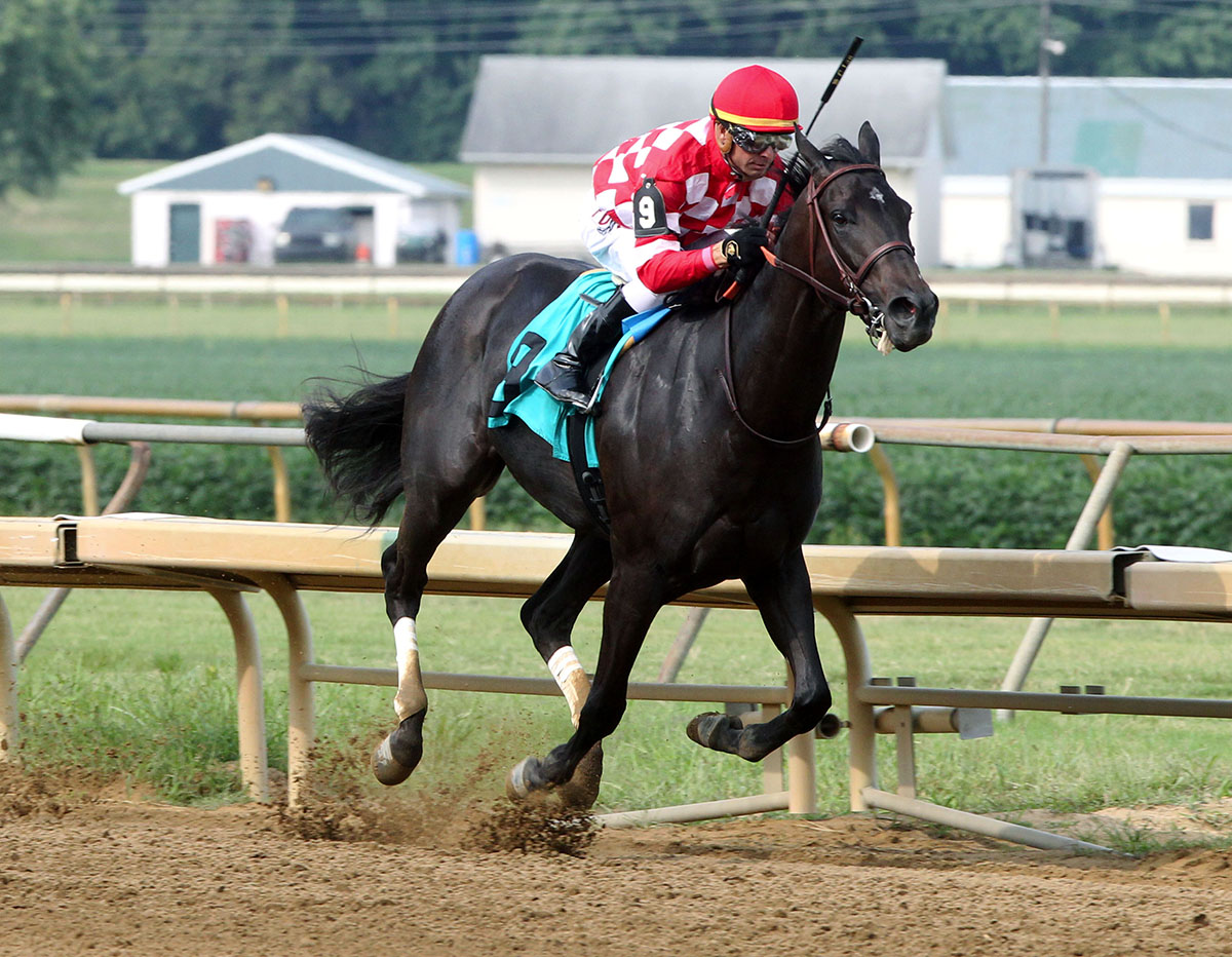 Serengeti Empress wins the Ellis Debutante