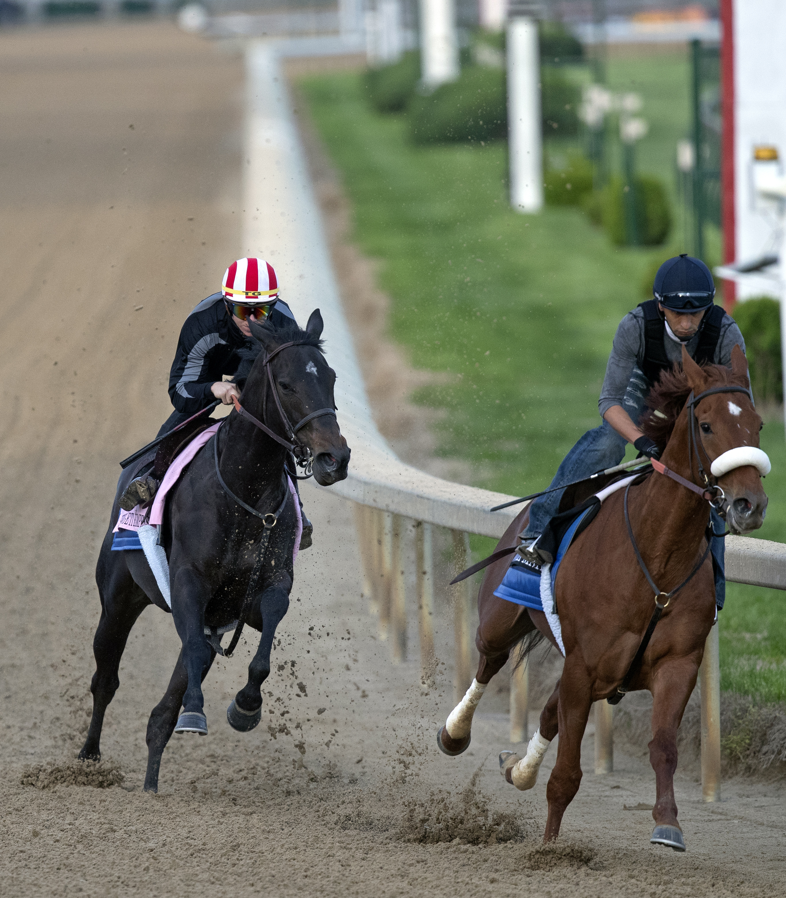 Serengeti Empress (left) tracks her stablemate Haynesfest in five-furlong workout at Churchill Downs Tue. 4-23-2019