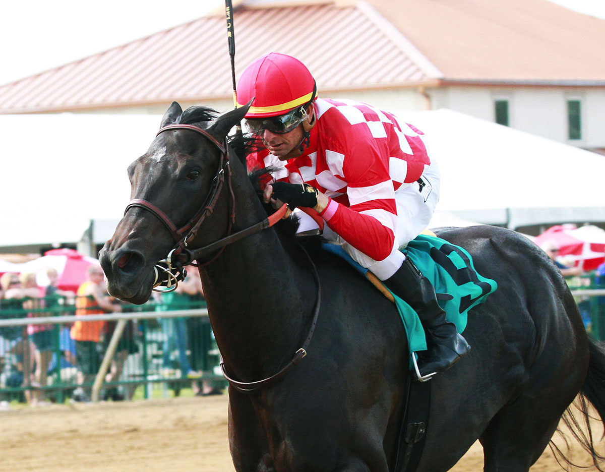 Serengeti Empress wins the Ellis Debutante