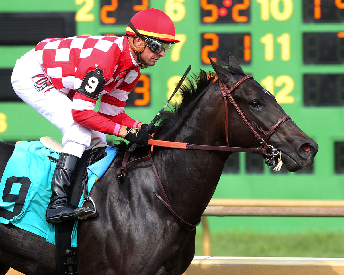 Serengeti Empress wins the Ellis Debutante