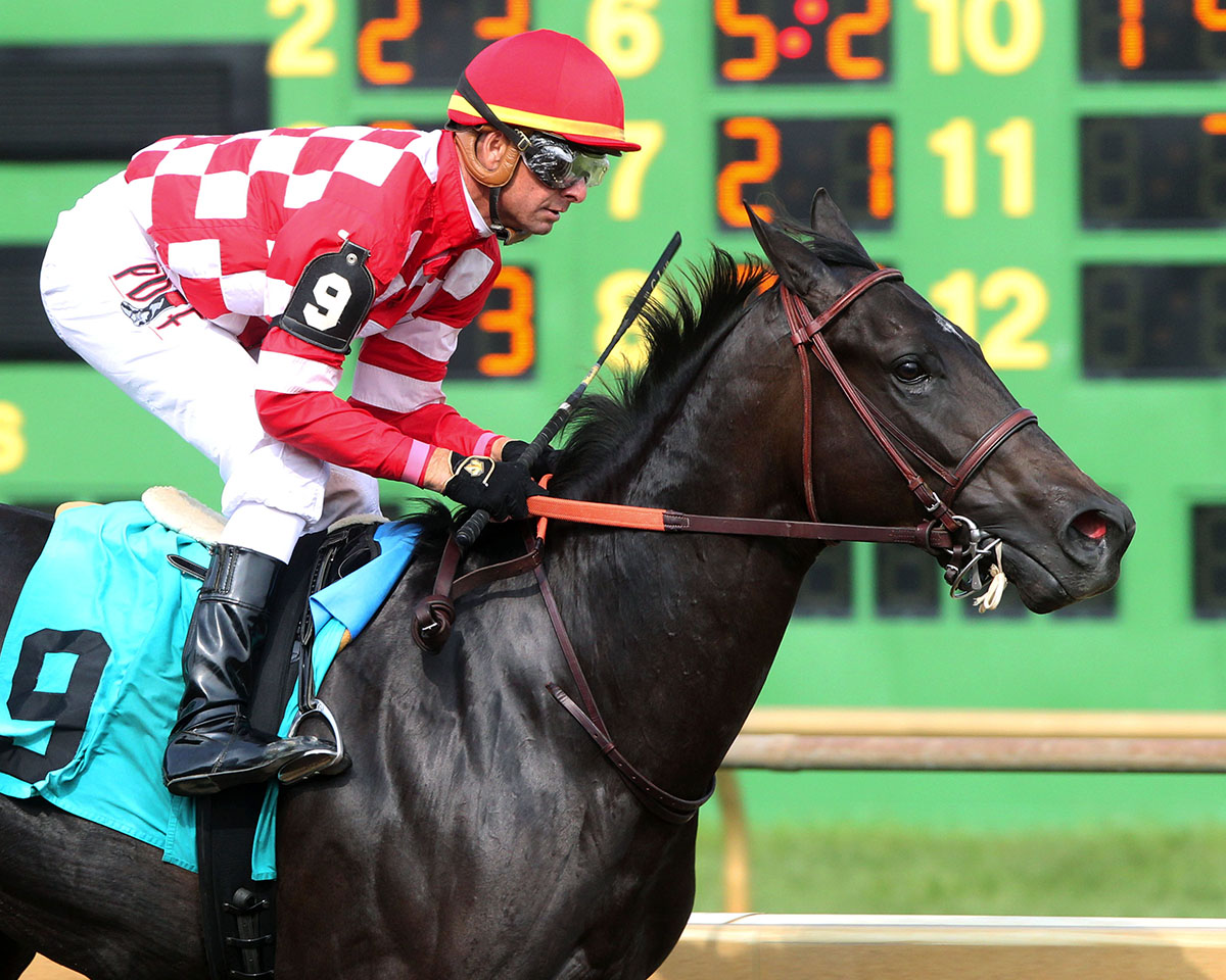 Serengeti Empress wins the Ellis Debutante