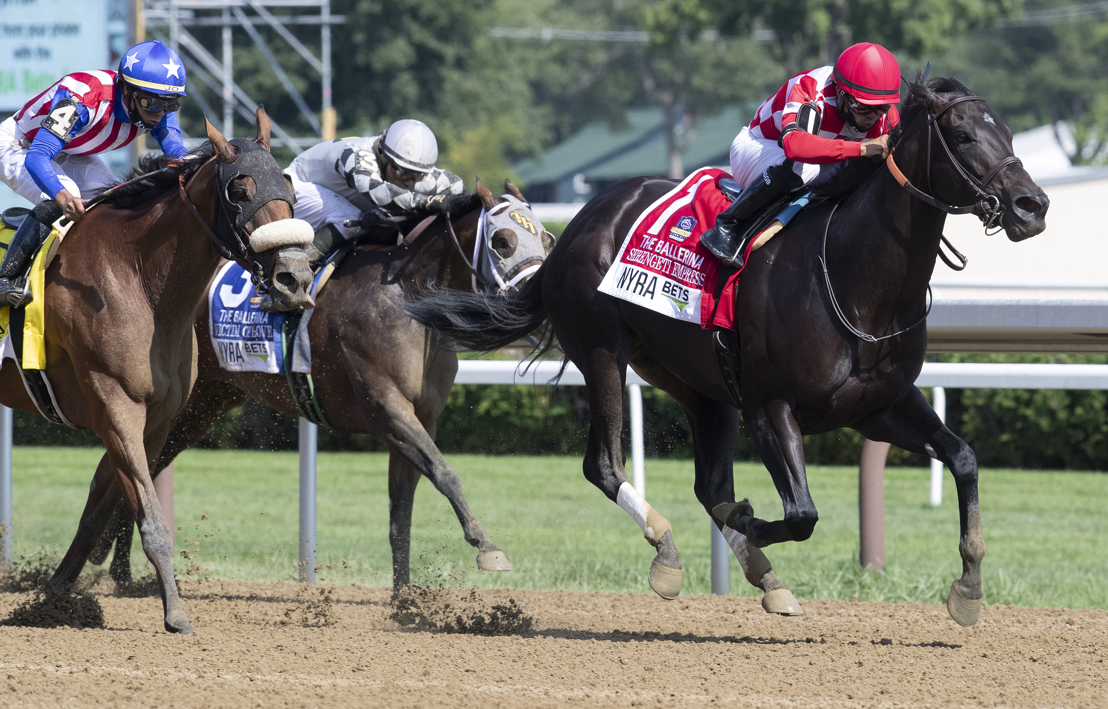Serengeti Empress Ballerina 8-8-2020