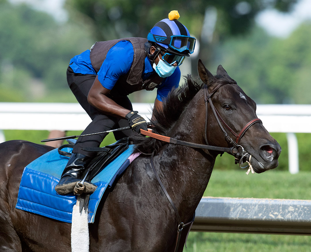 Serengeti Empress trains at Saratoga Race Course on July 19