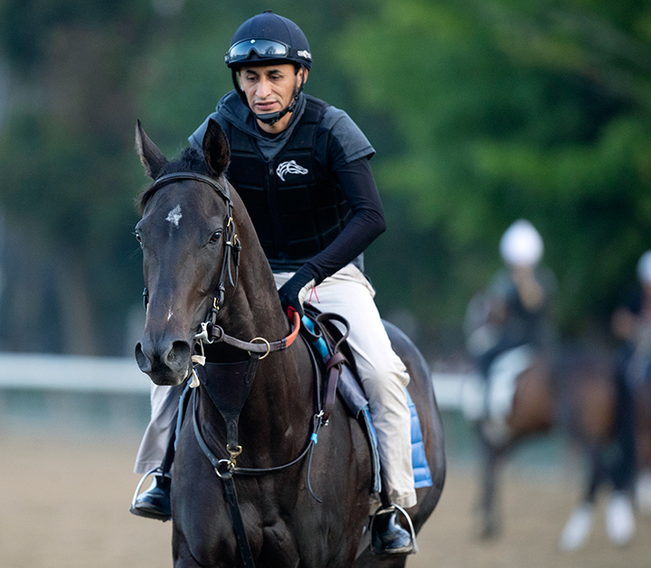 Serengeti Empress at Saratoga Race Course in August 2019