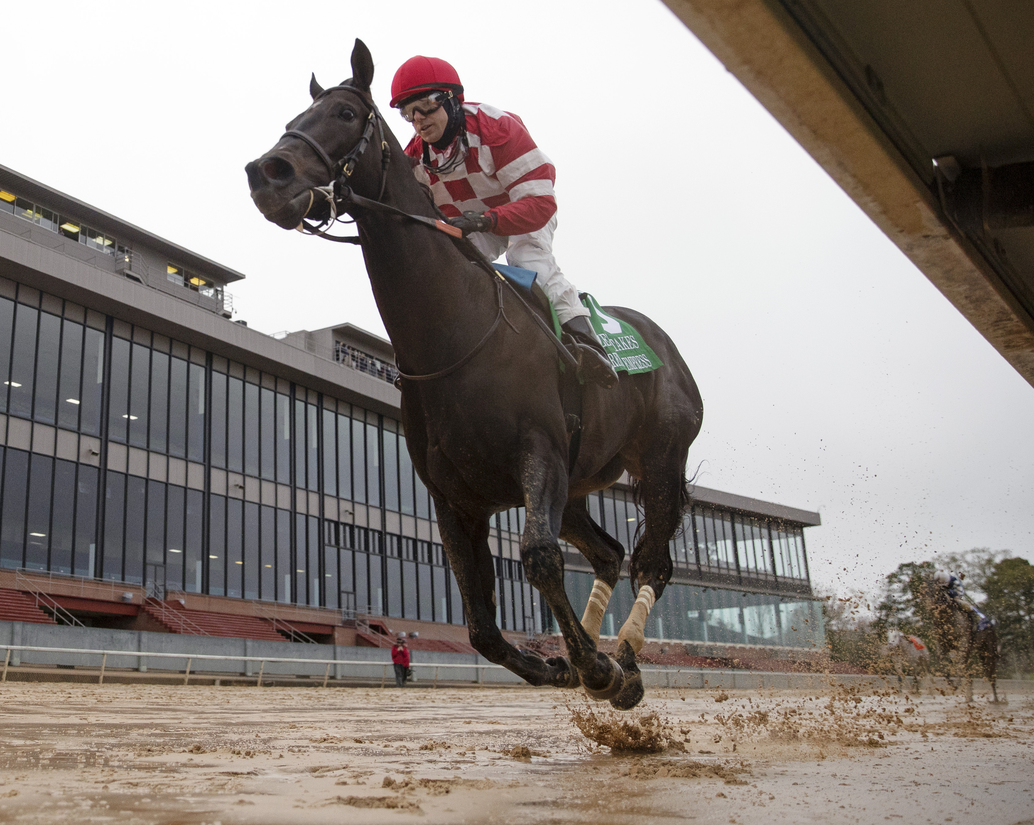 Serengeti Empress wins the 2020 Azeri Stakes