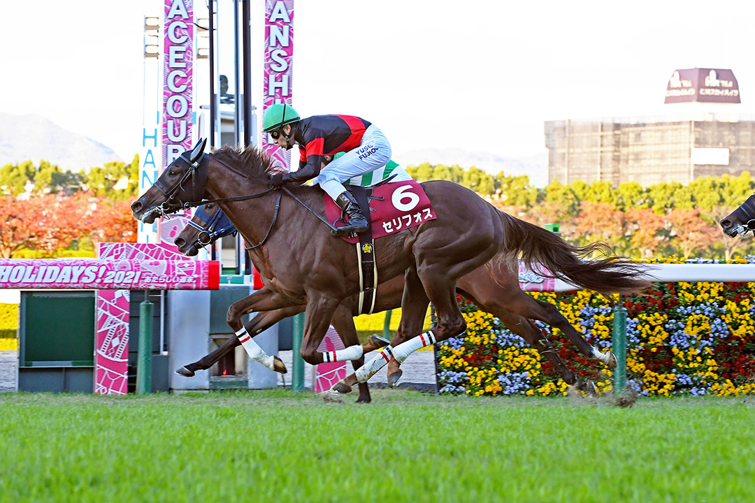 Serifos wins the 2021 Daily Hai Nisai Stakes at Hanshin Racecourse