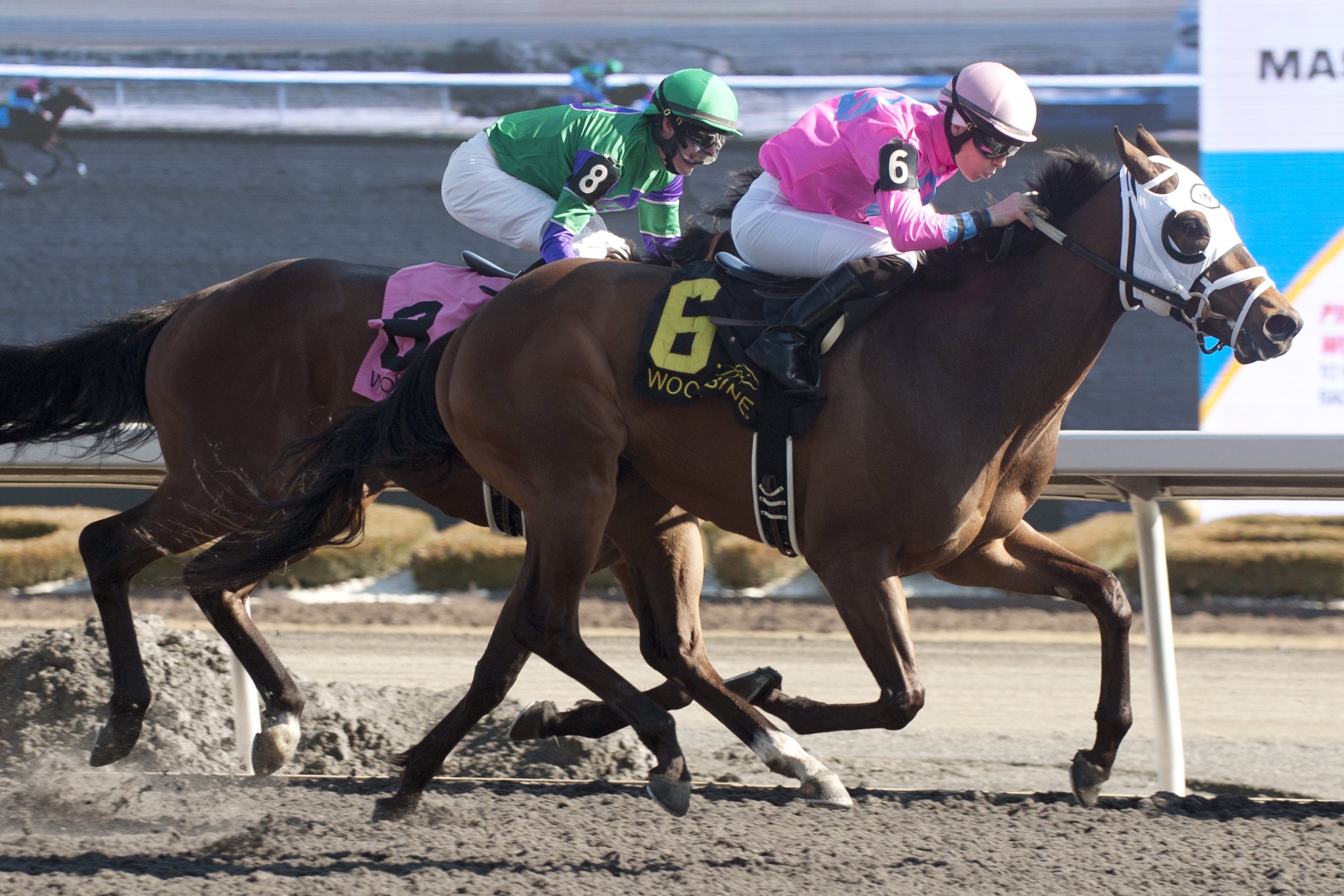 Jacks Escarpment finishes second to Serious Talk in the Woodstock