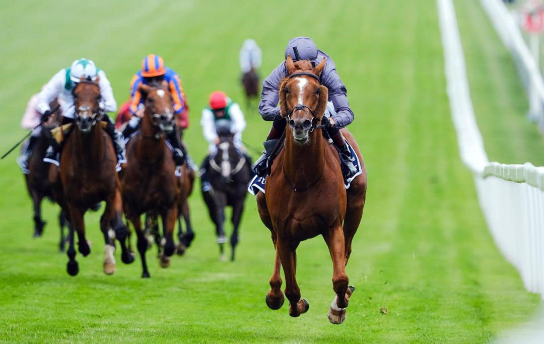 Serpentine wins the 2020 English Derby at Epsom Downs