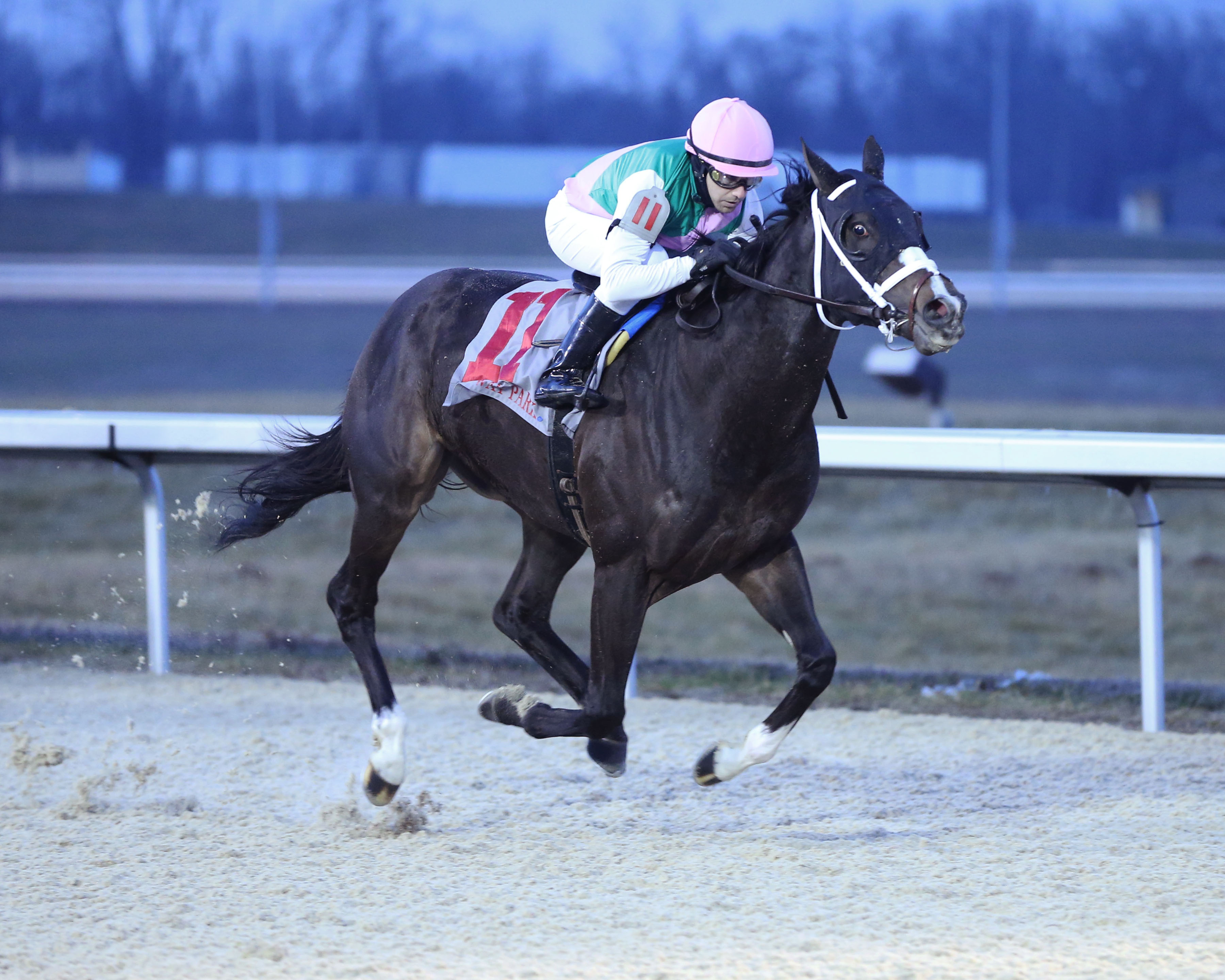 Set Piece wins the 2020 Prairie Bayou Stakes at Turfway Park
