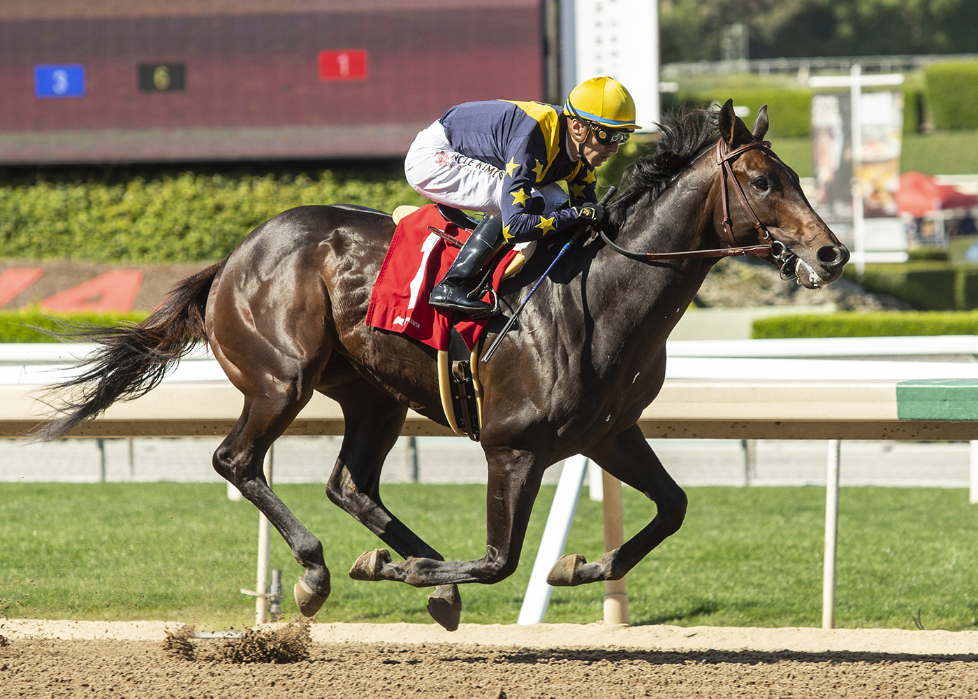 Set Sail wins a Santa Anita maiden race on March 27 2022