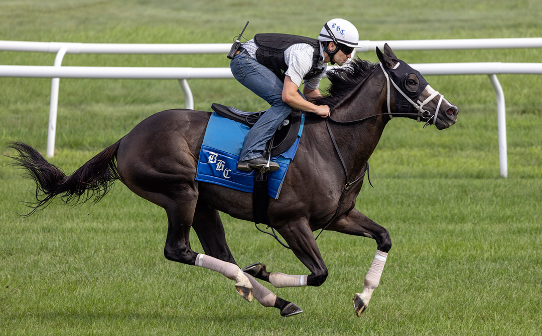 Set Piece trains at Saratoga Race Course in July 2021