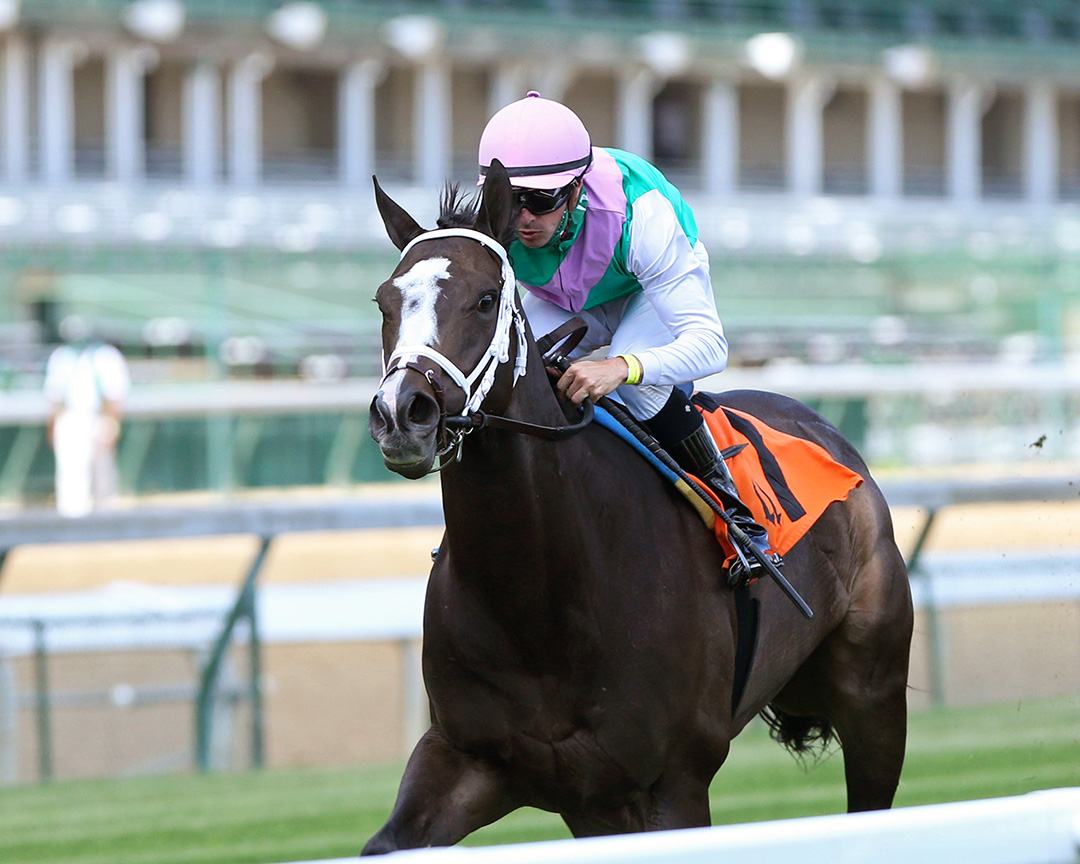 Set Piece wins a June 12 allowance at Churchill Downs