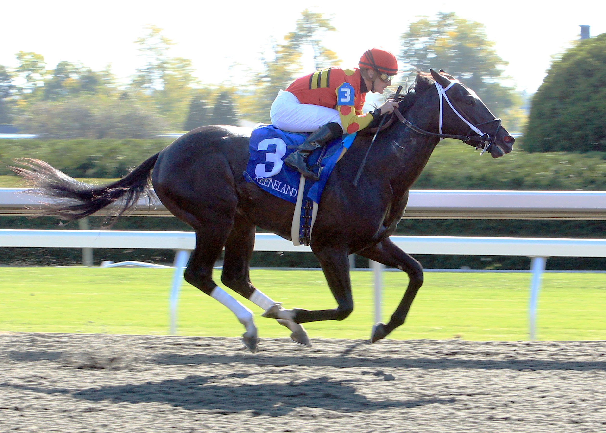 Seven Lively Sins/maiden win