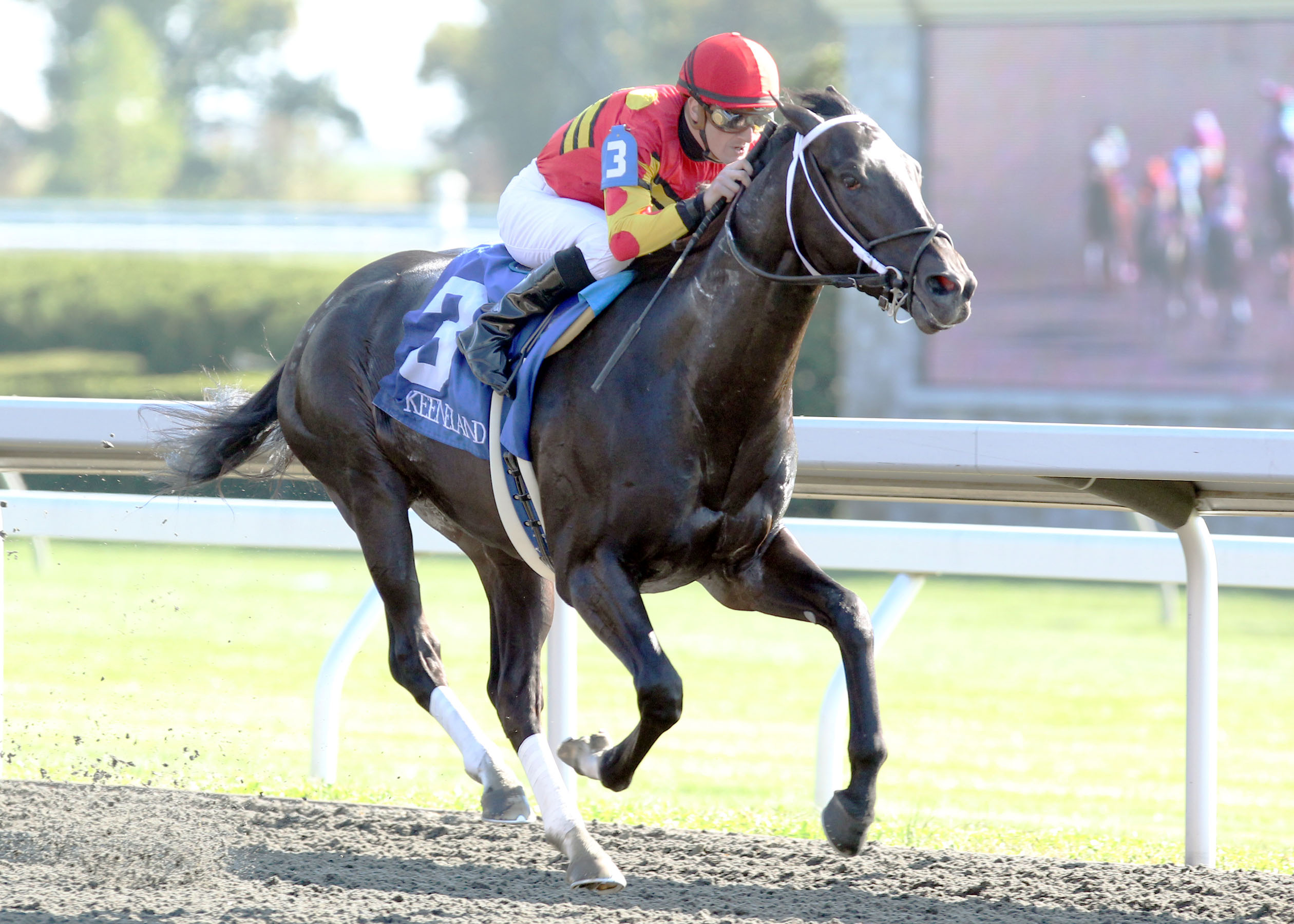 Seven Lively Sins 10-11-2011
