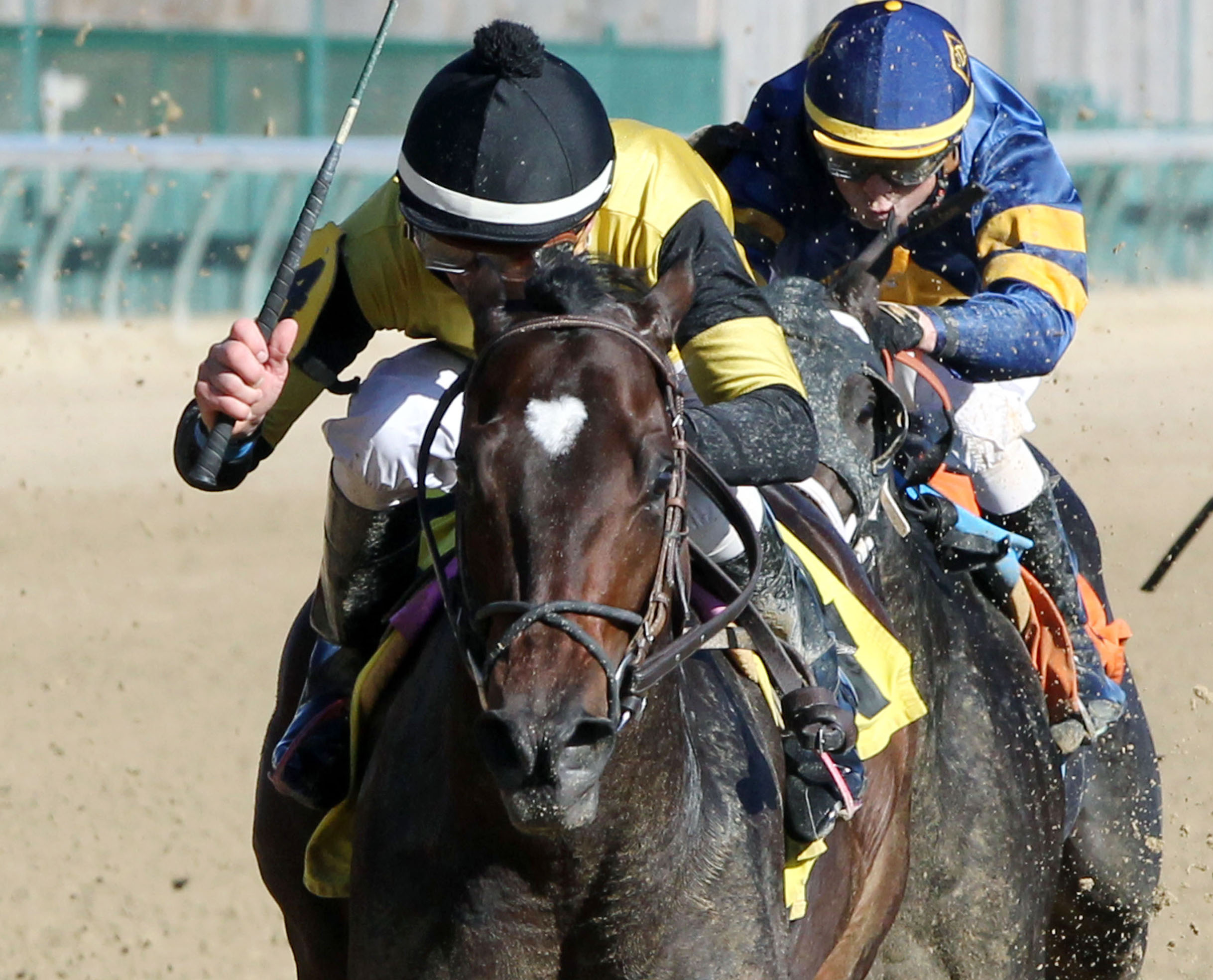 Seven Trumpets wins a Nov. 25 allowance at Churchill