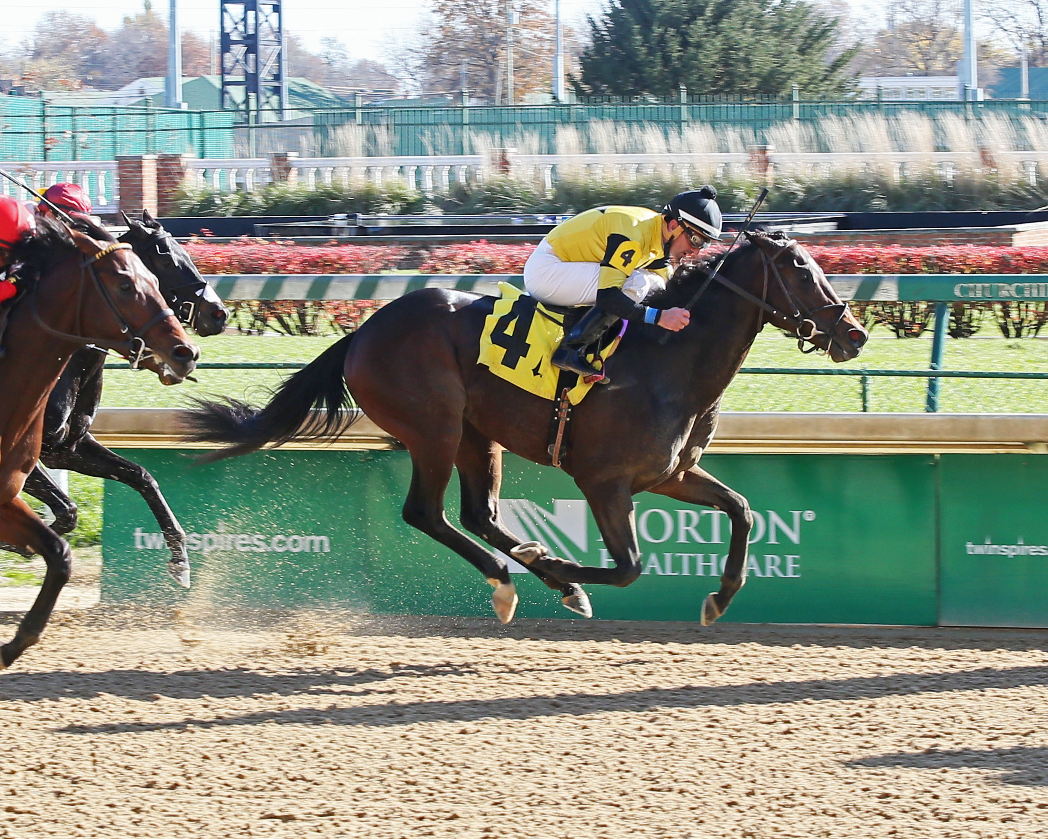 Seven Trumpets wins a Churchill Downs allowance race on 11.25.17