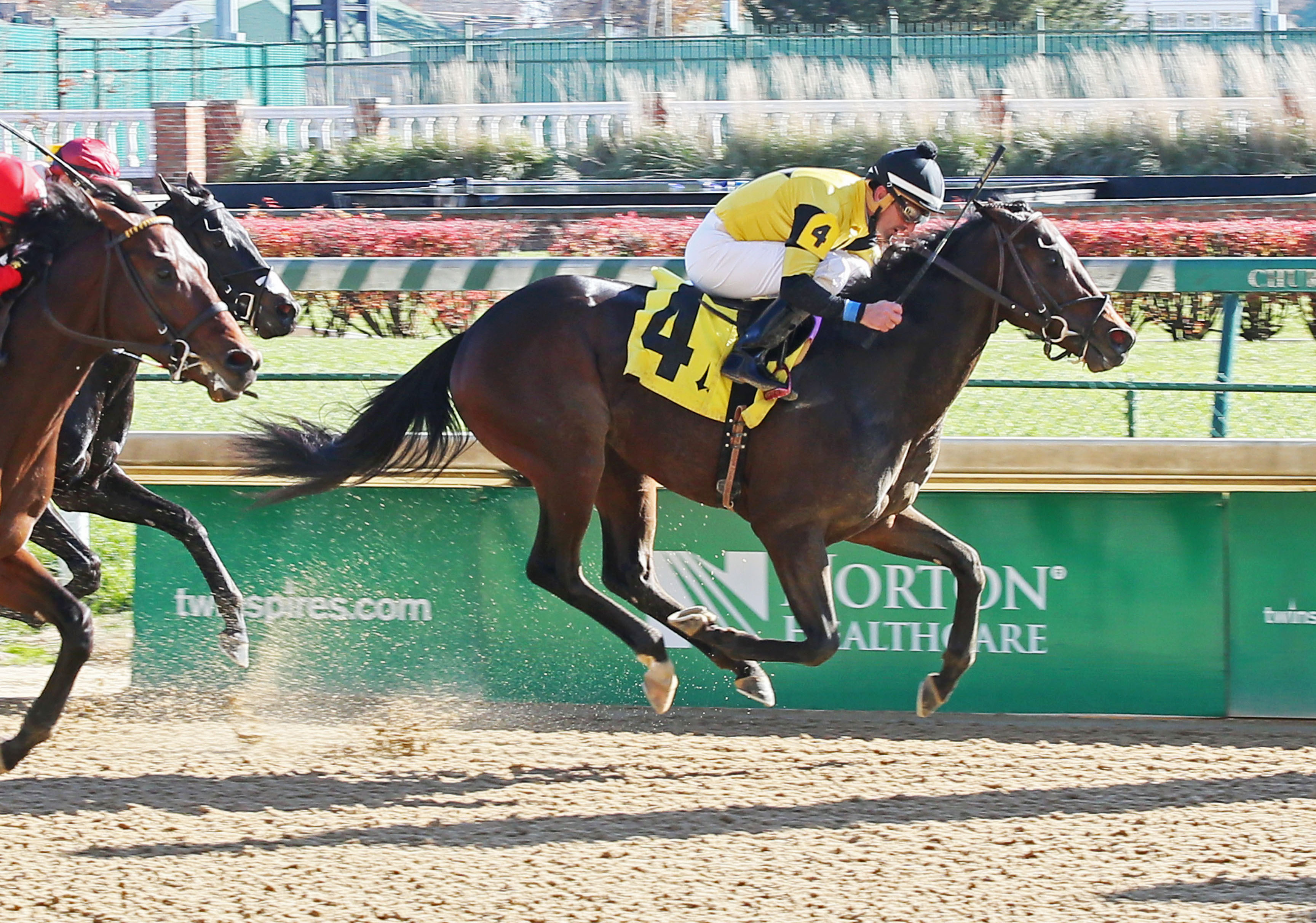 Seven Trumpets wins a Nov. 25 allowance at Churchill