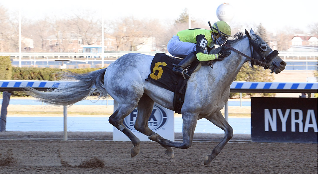 Seven Lilies wins a Jan. 30 allowance at Aqueduct Racetrack