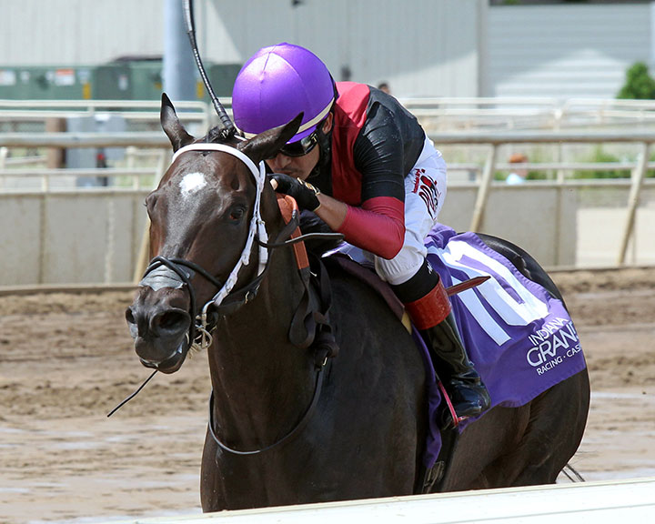 Seven Nation Army wins a July 17 allowance race at Indiana Grand
