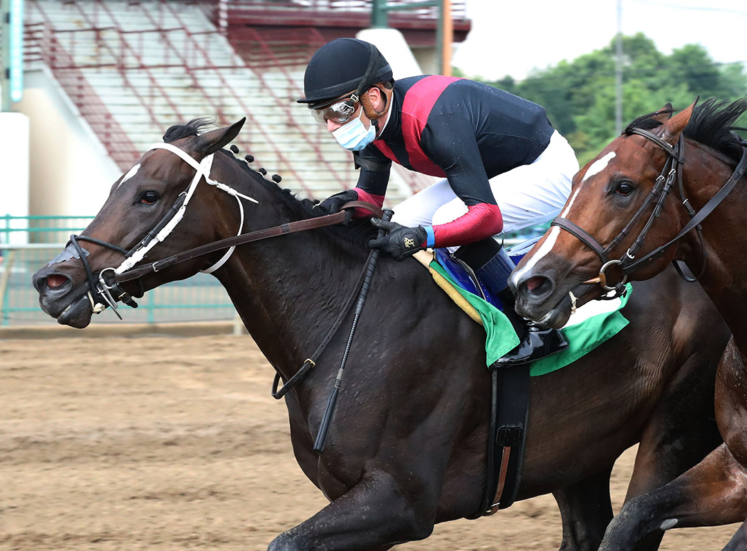 Seven Nation Army wins an August 2020 allowance at Ellis Park