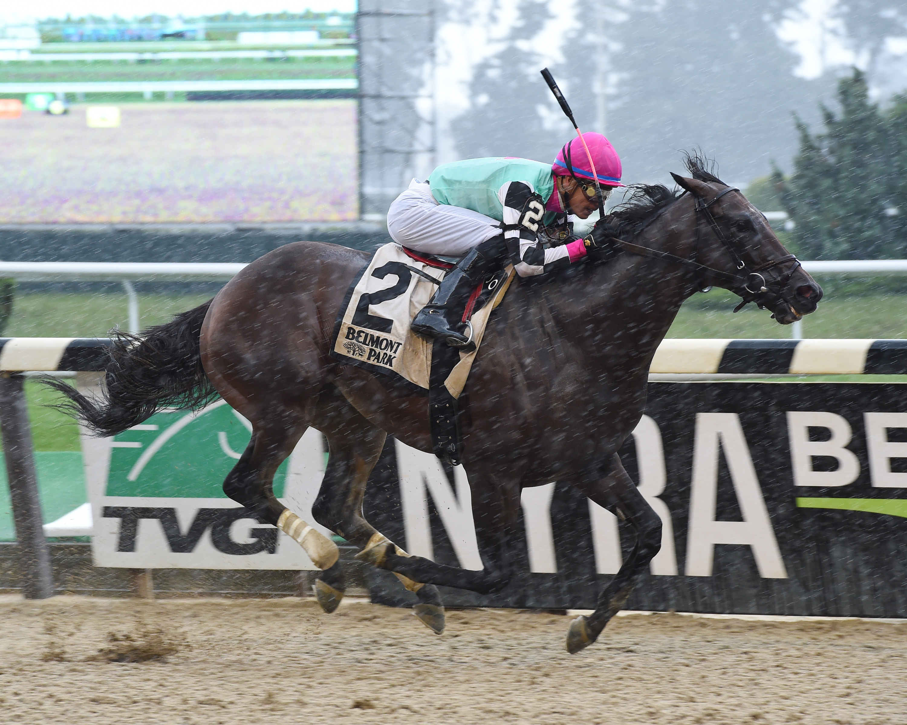 Seymourdini wins the State Dinner Stakes