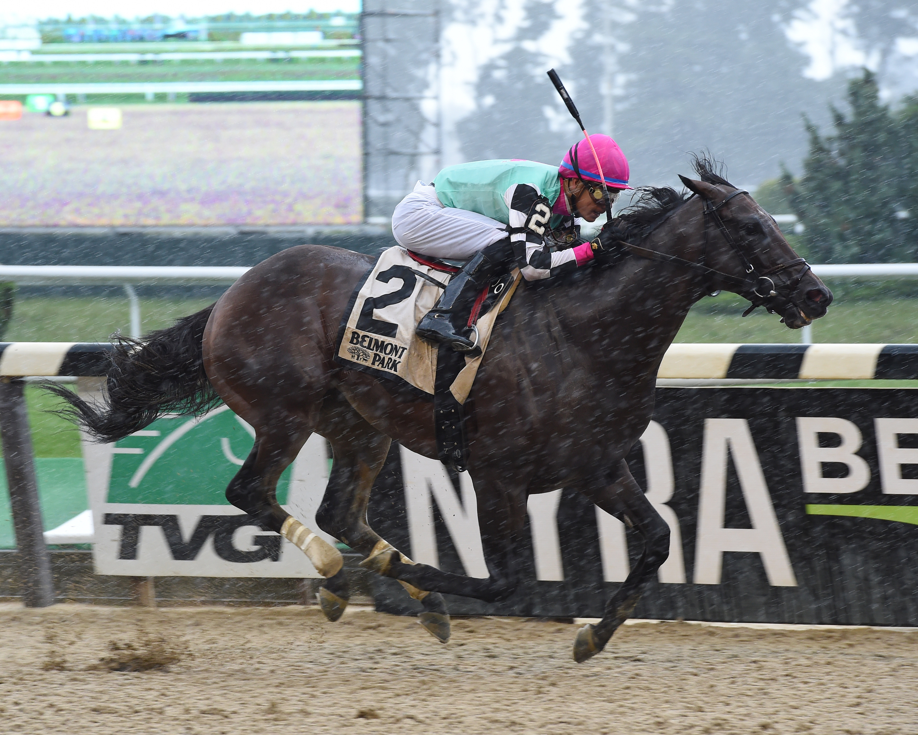 Seymourdini wins the 2017 State Dinner Stakes