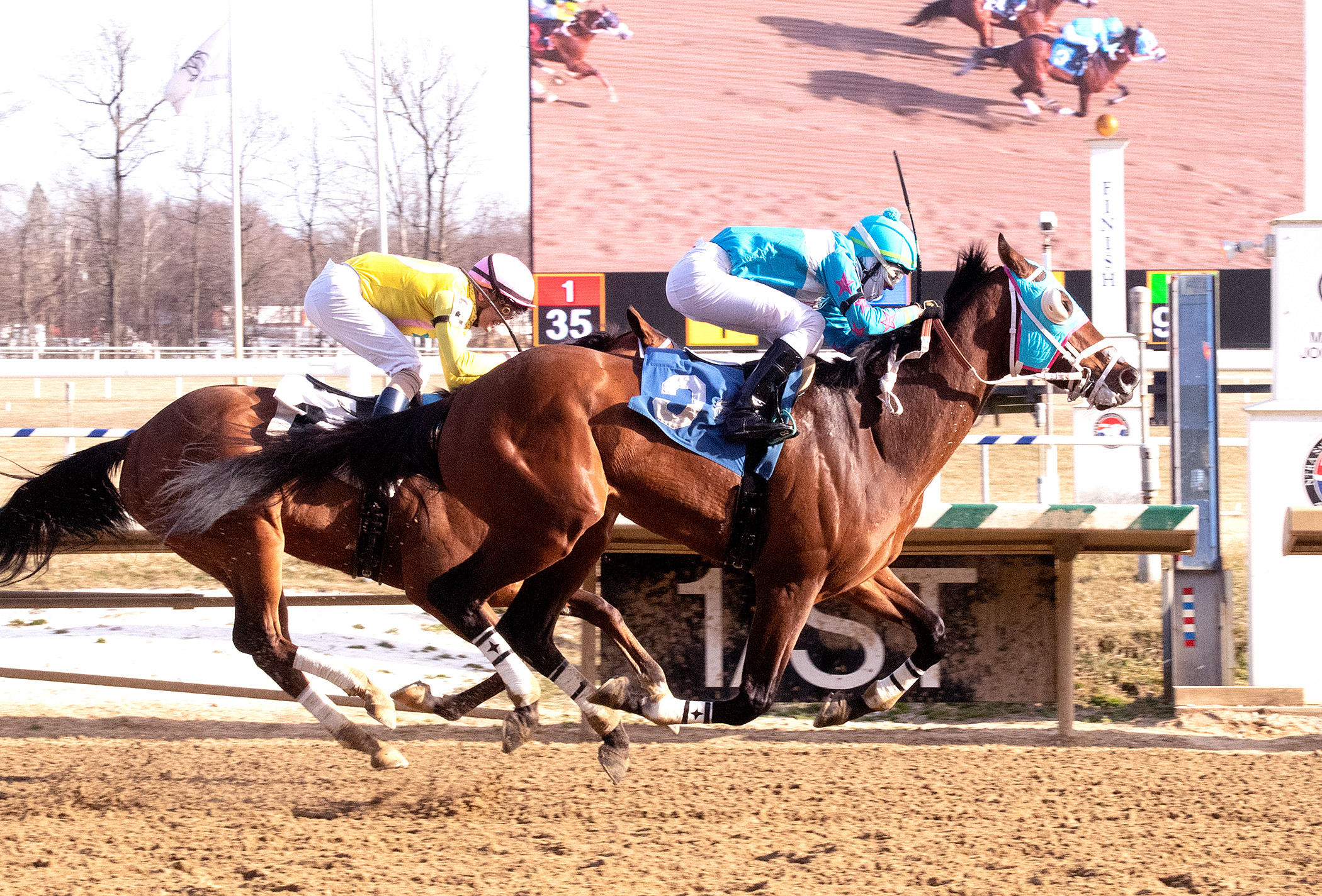 Shackled Love wins Private Terms 3-13-2021