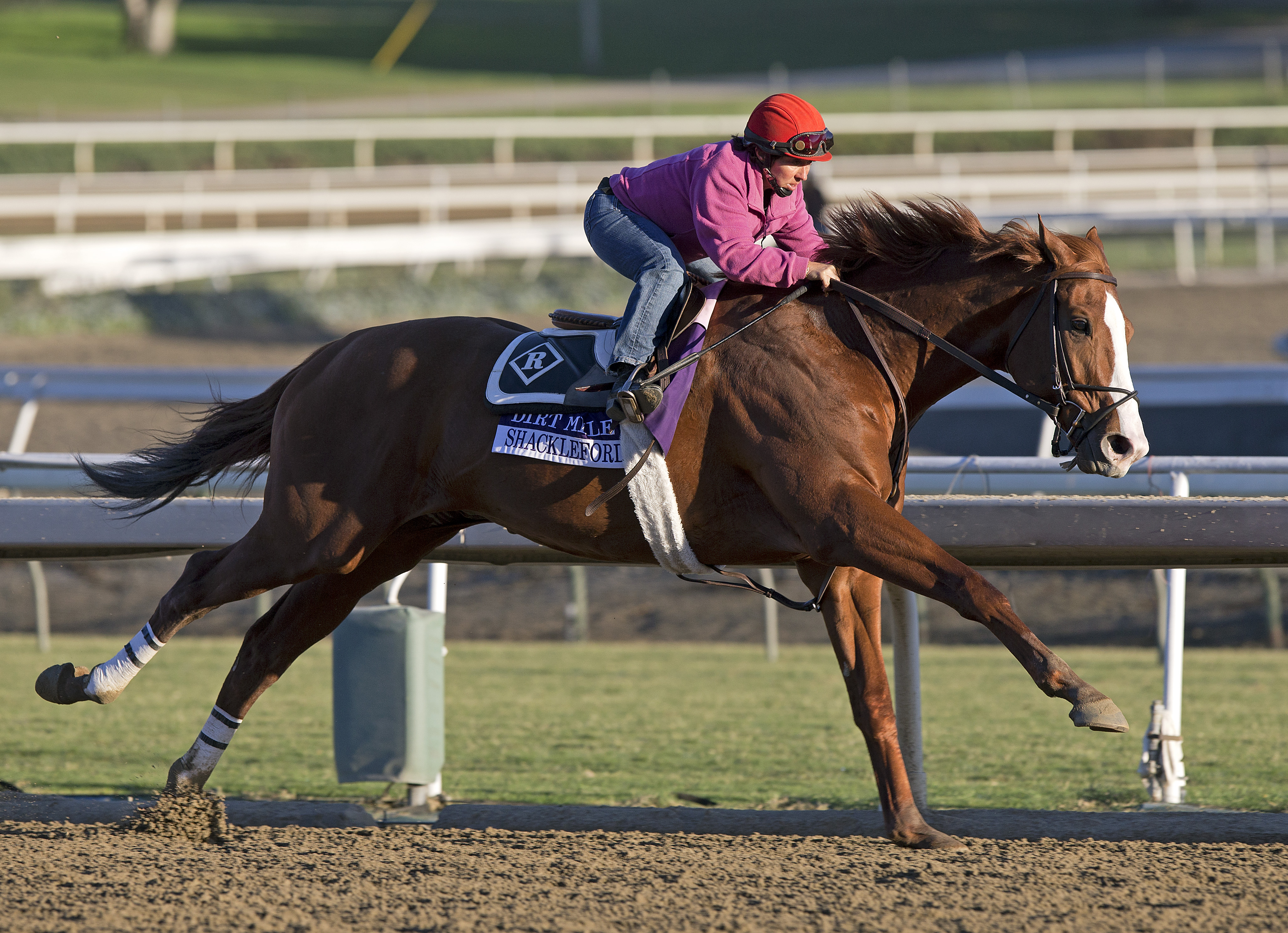 Shackleford