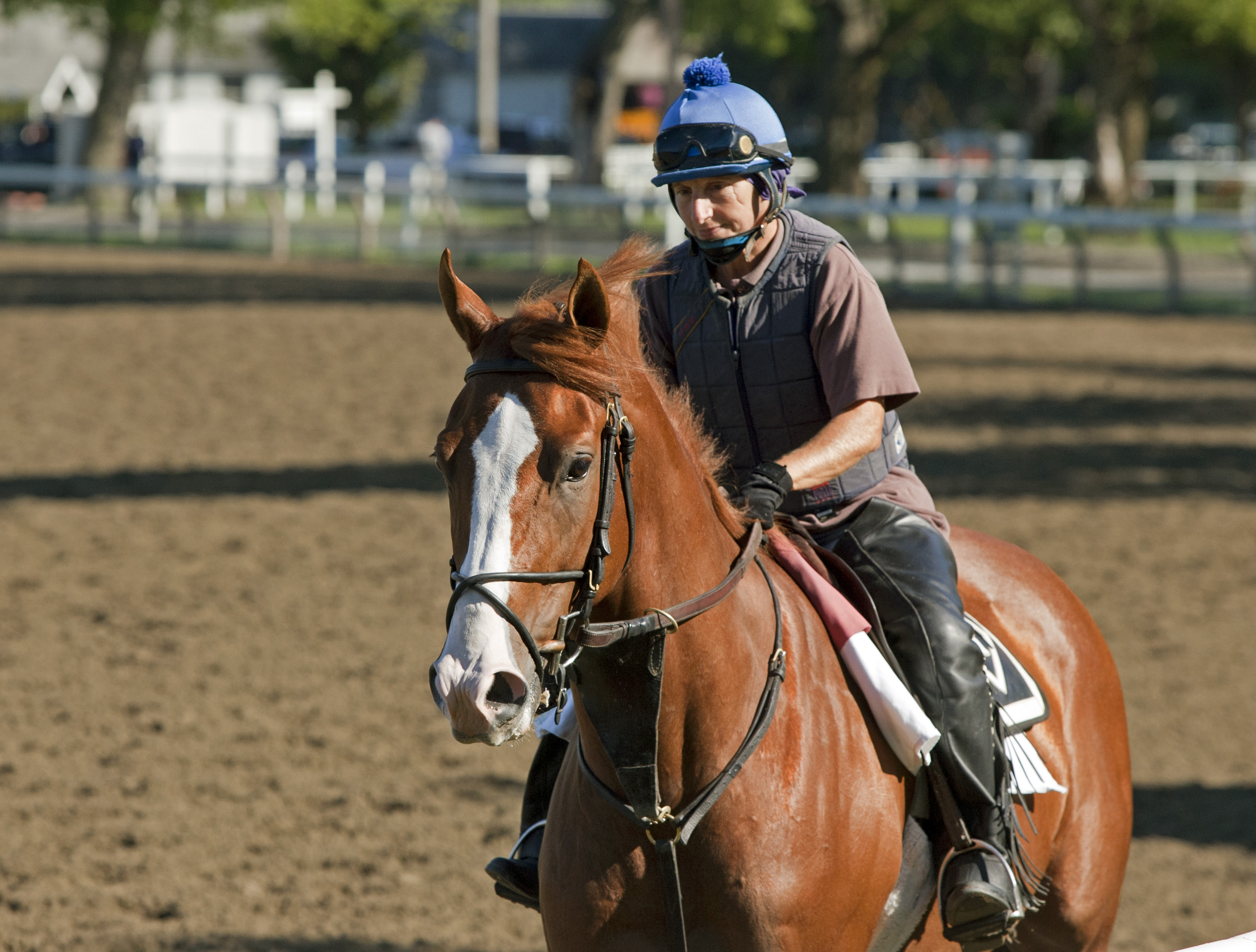 Shackleford