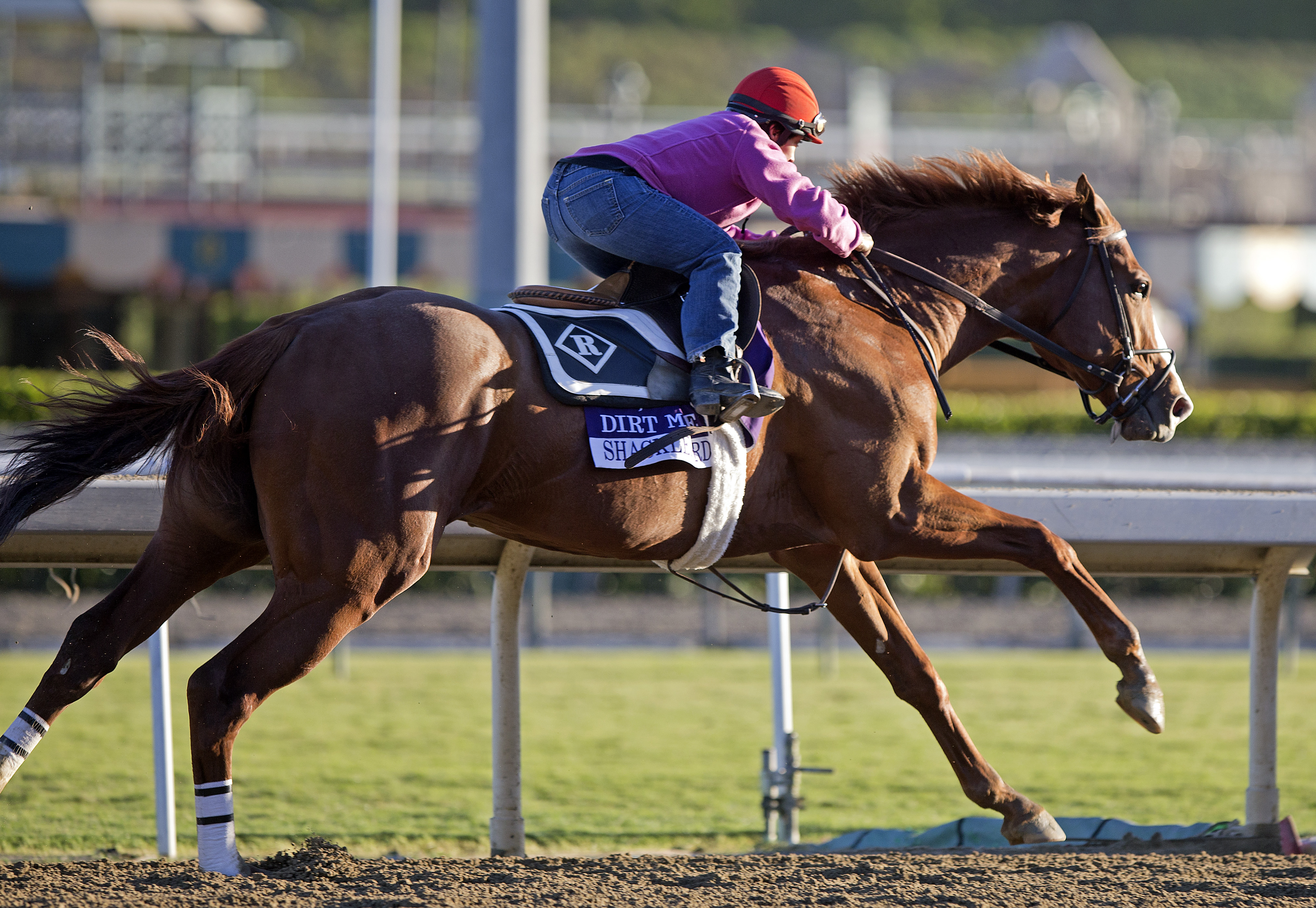 Shackleford at Santa Anita