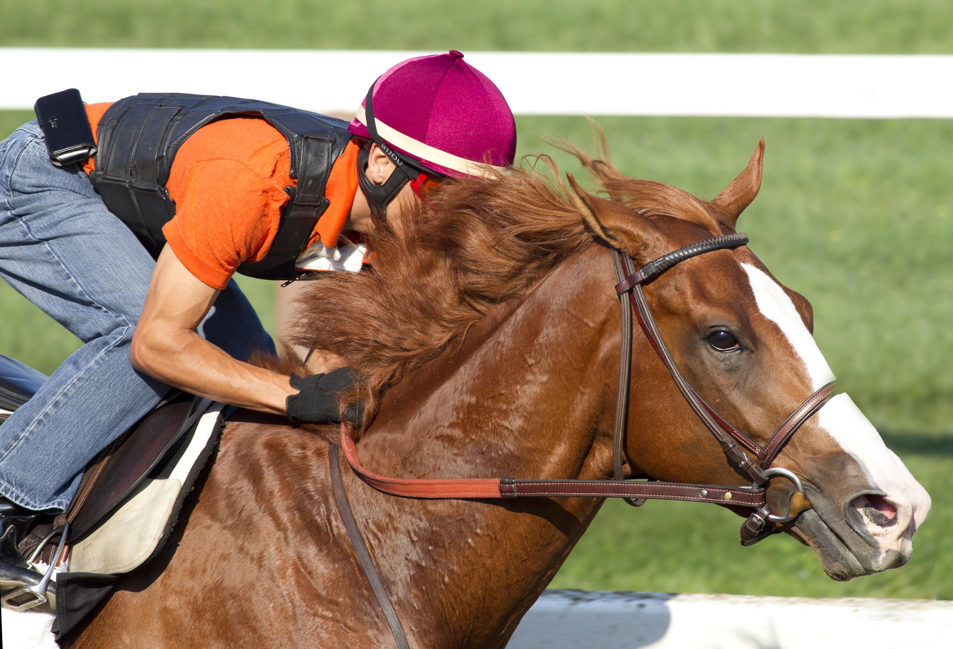 Shackleford, Aug. 20, Saratoga