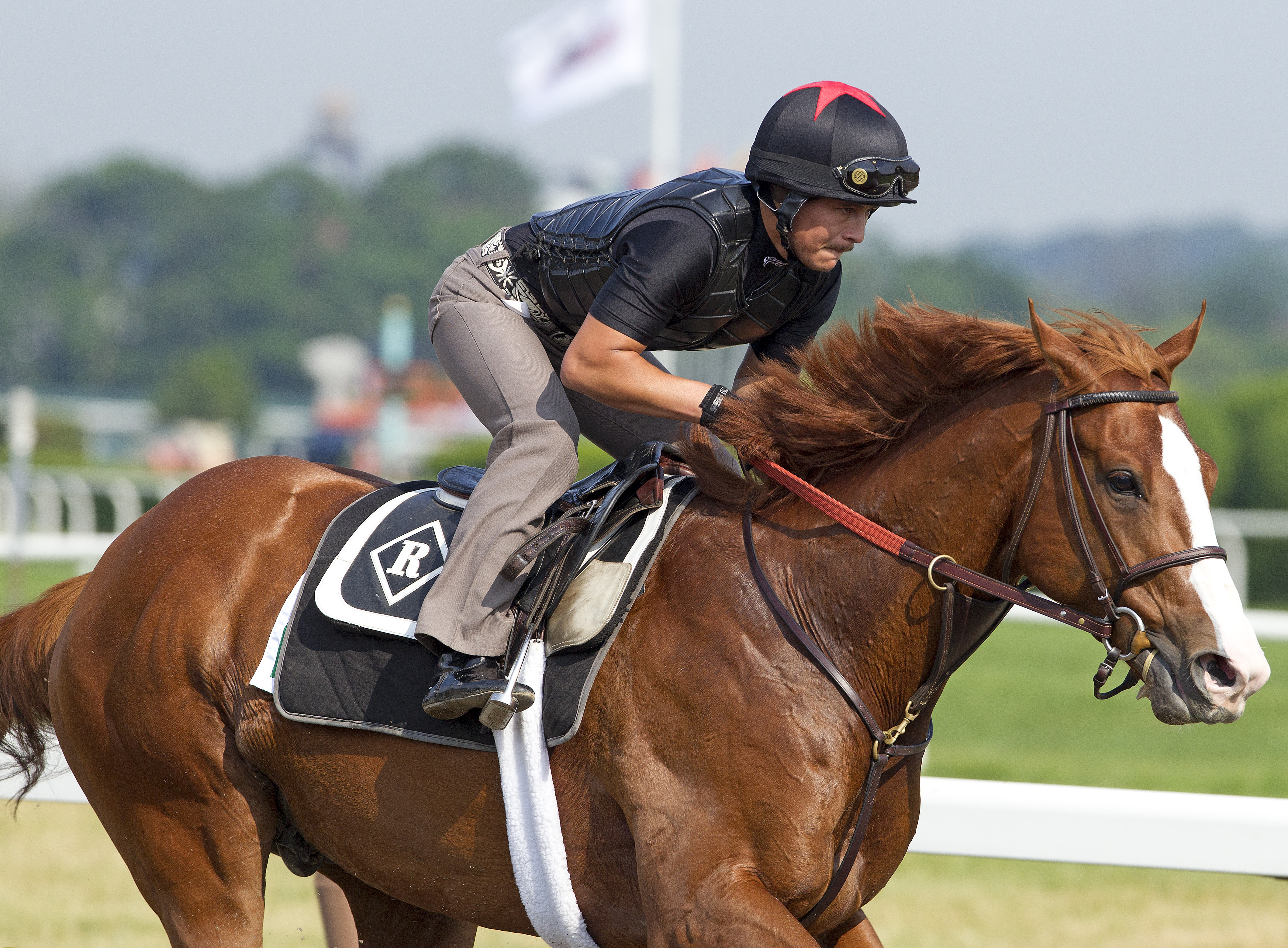Shackleford, June 10, 2011