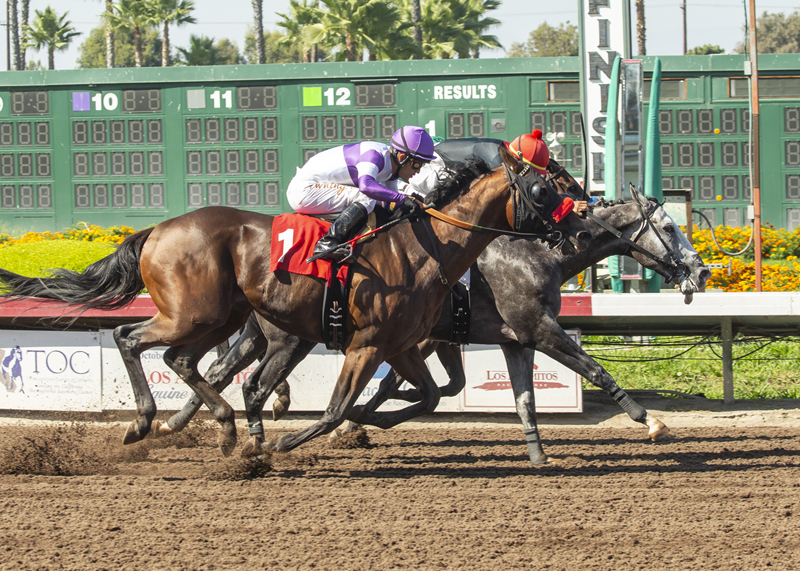 Shades of Victory (center) wins the 2018 E.B. Johnston Stakes