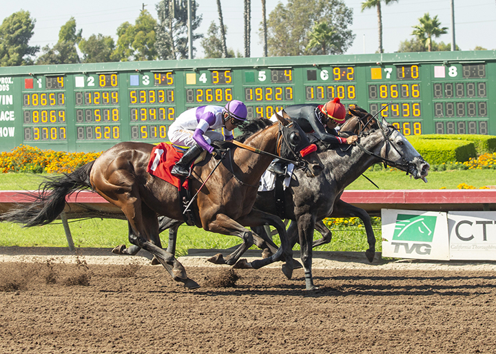 Shades of Victory (center) wins the 2018 E.B. Johnston Stakes at Los Alamitos Race Course