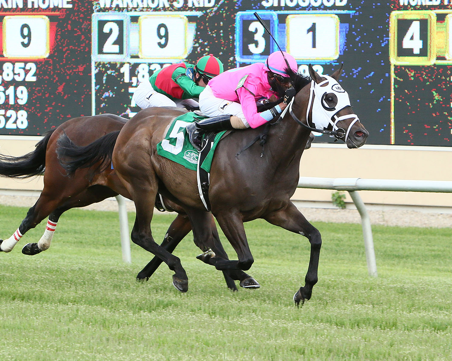 Shadow Rock wins the 2017 Honor the Hero Stakes