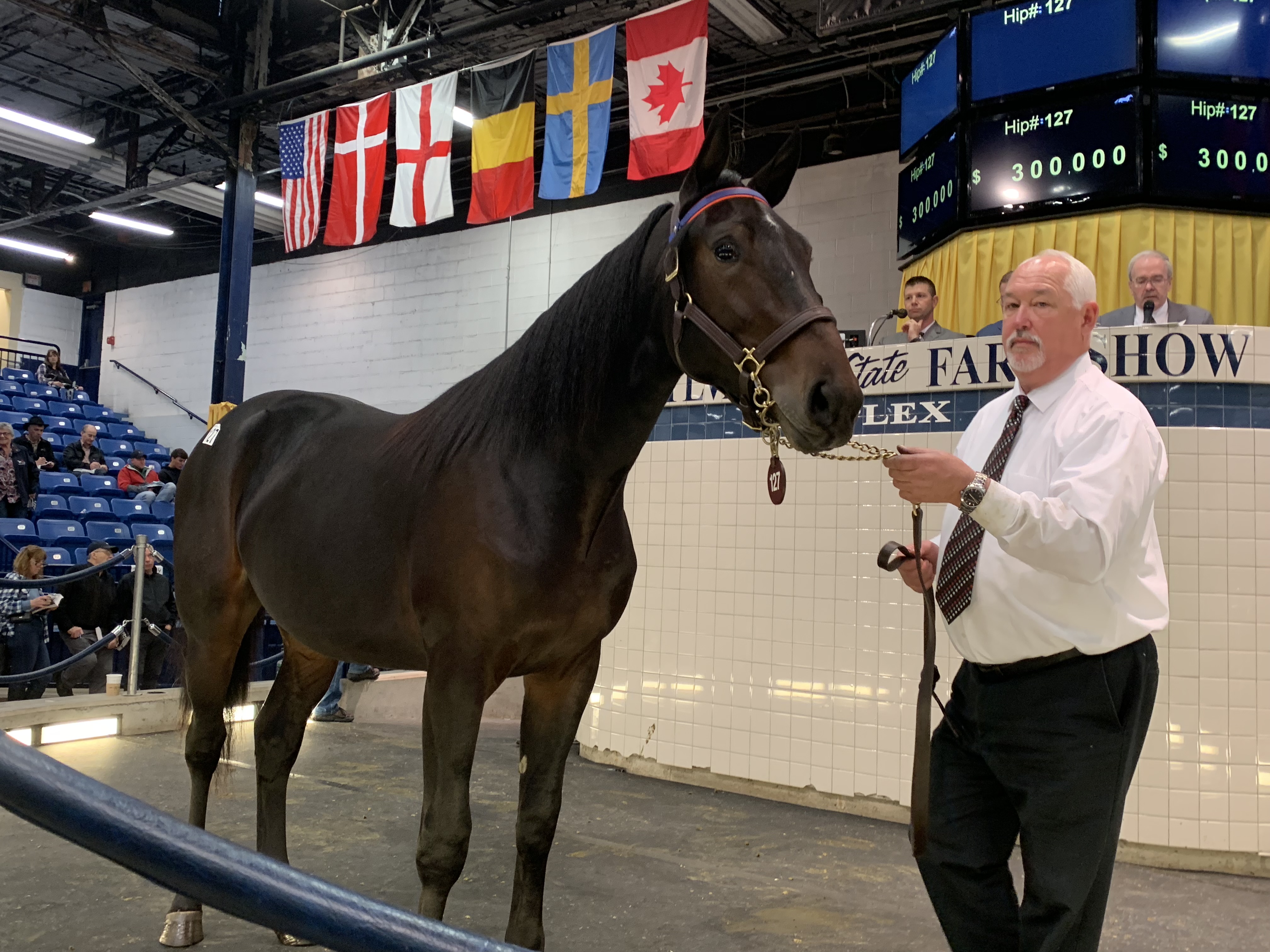 Shadrack Hanover