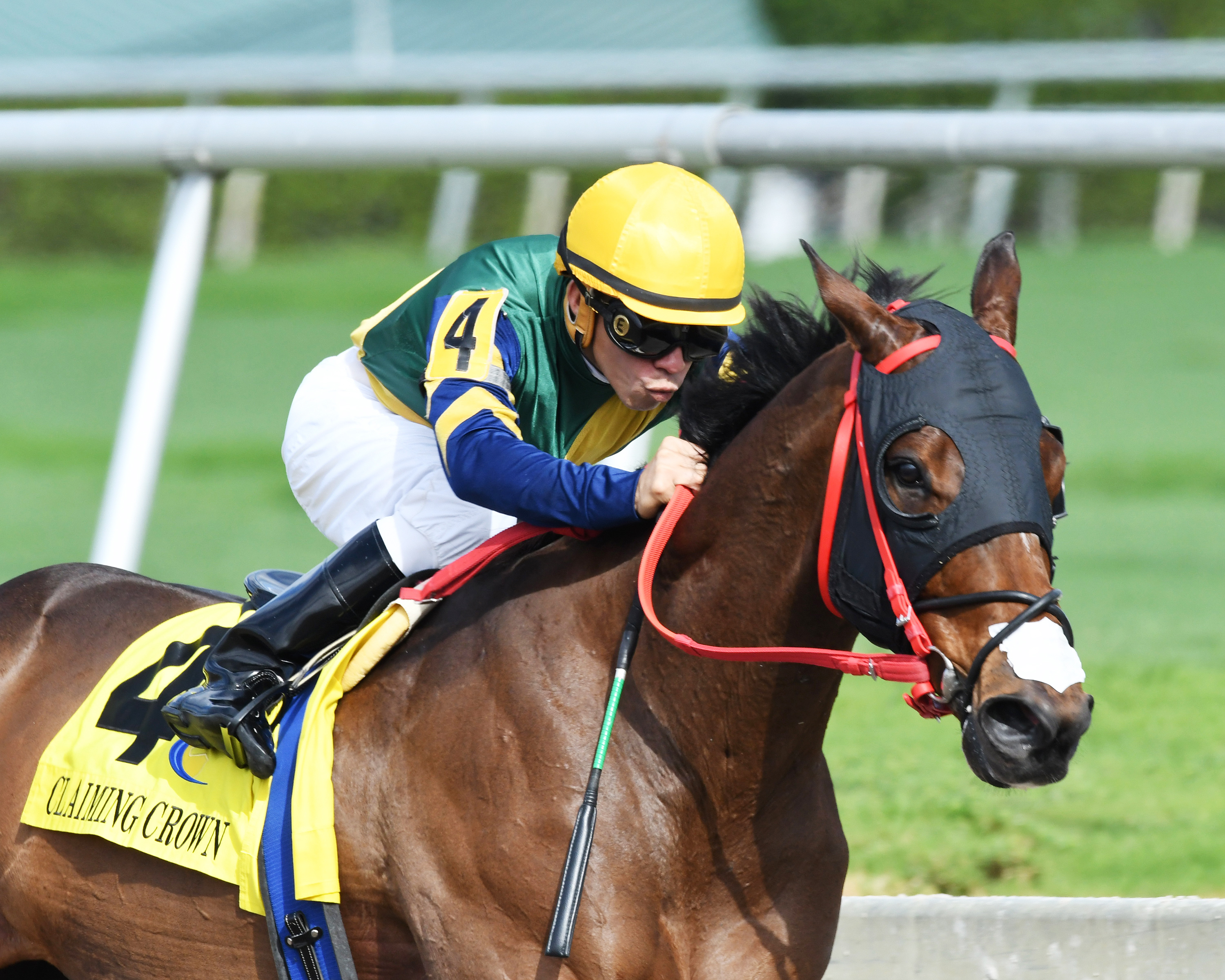 Shaft of Light wins the 2016 Claiming Crown Rapid Transit Stakes