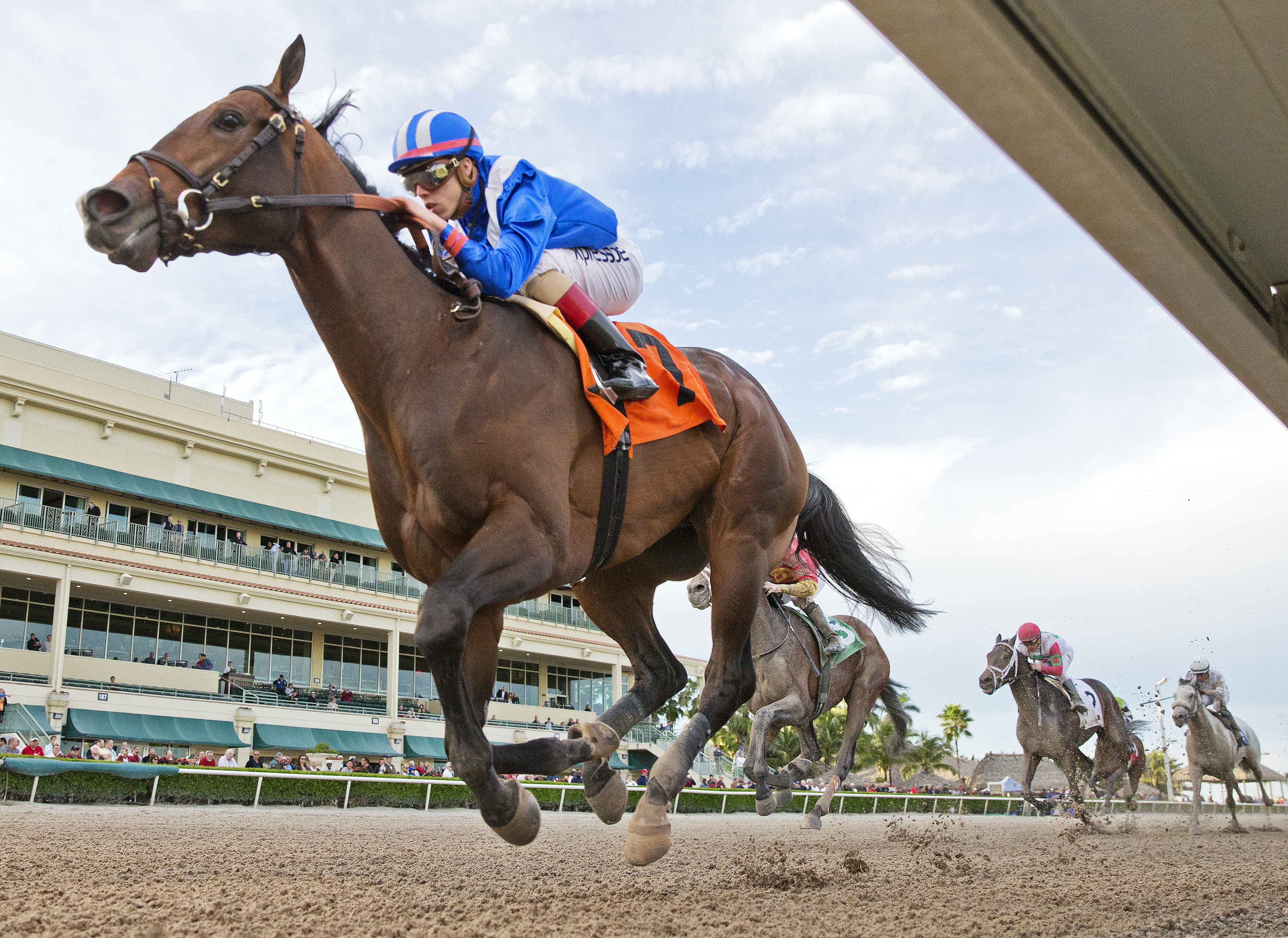 Shagaf wins a first-level allowance race on Jan. 29.
