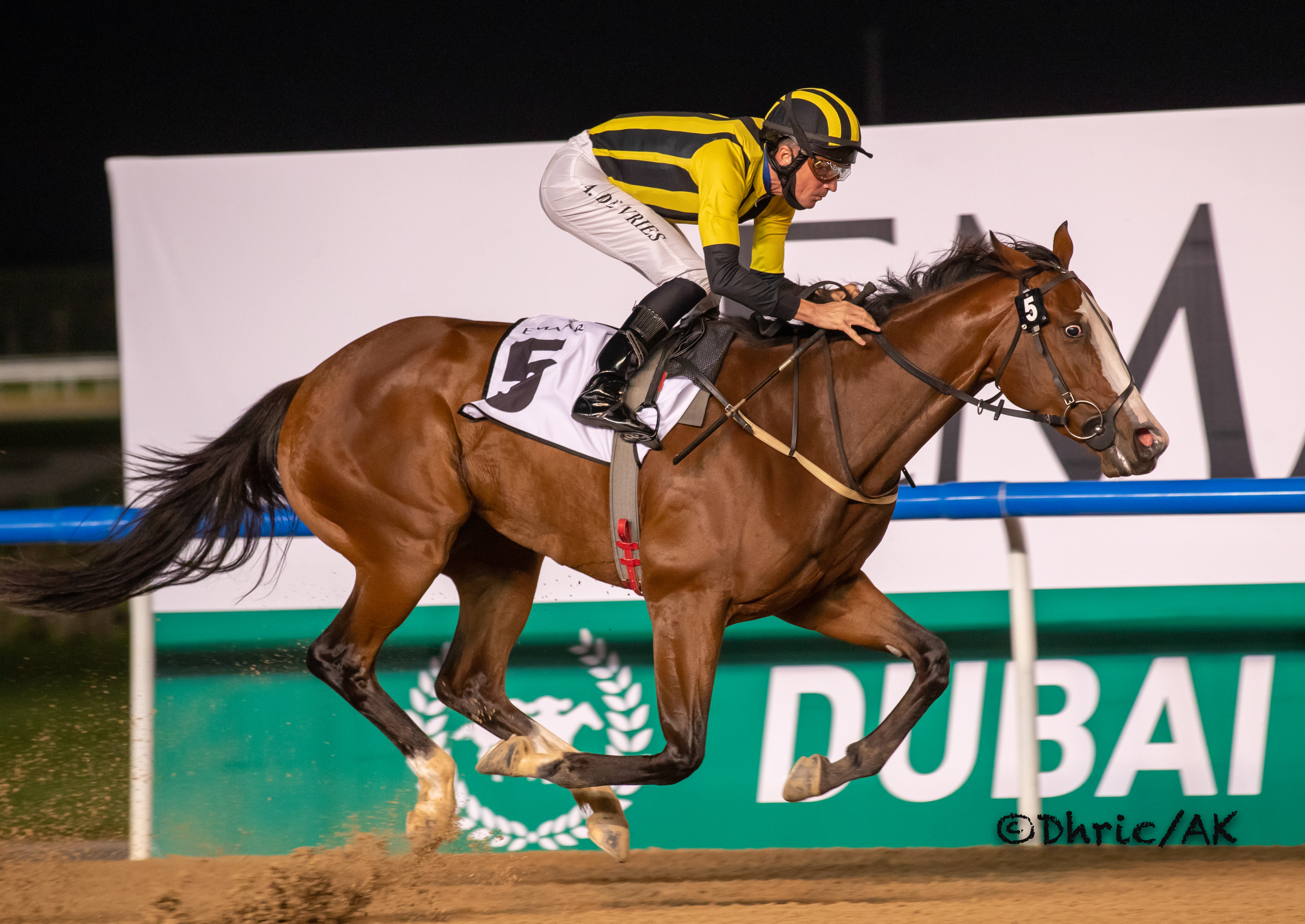 Shahama - UAE 1000 Guineas 2022