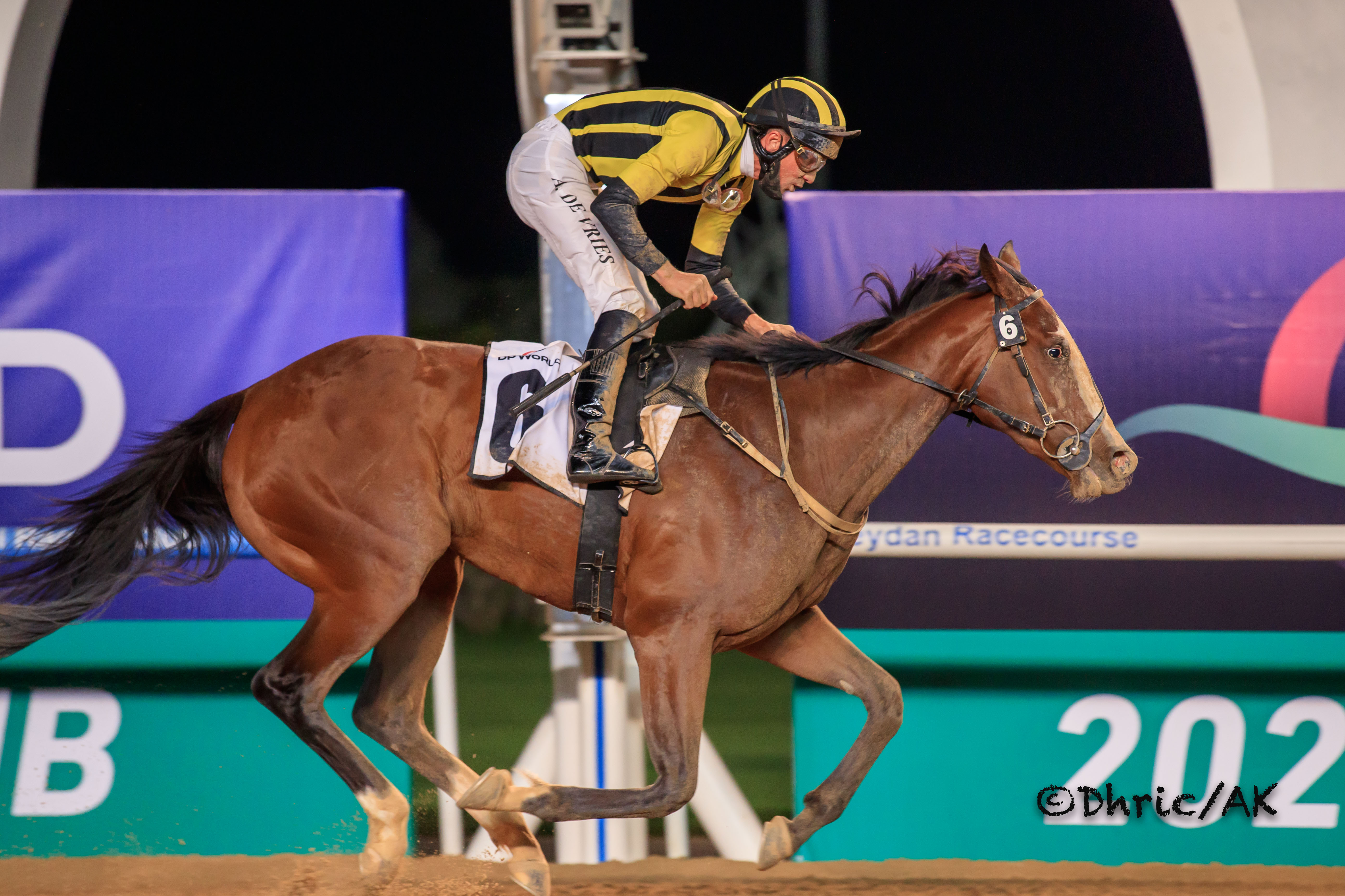 Shahama - UAE Oaks 2022