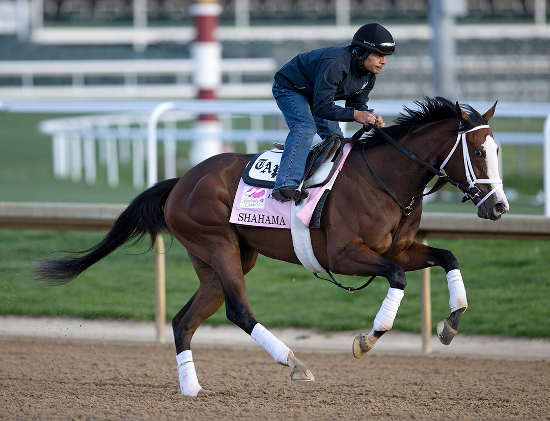 Shahama trains at Churchill Downs on April 26