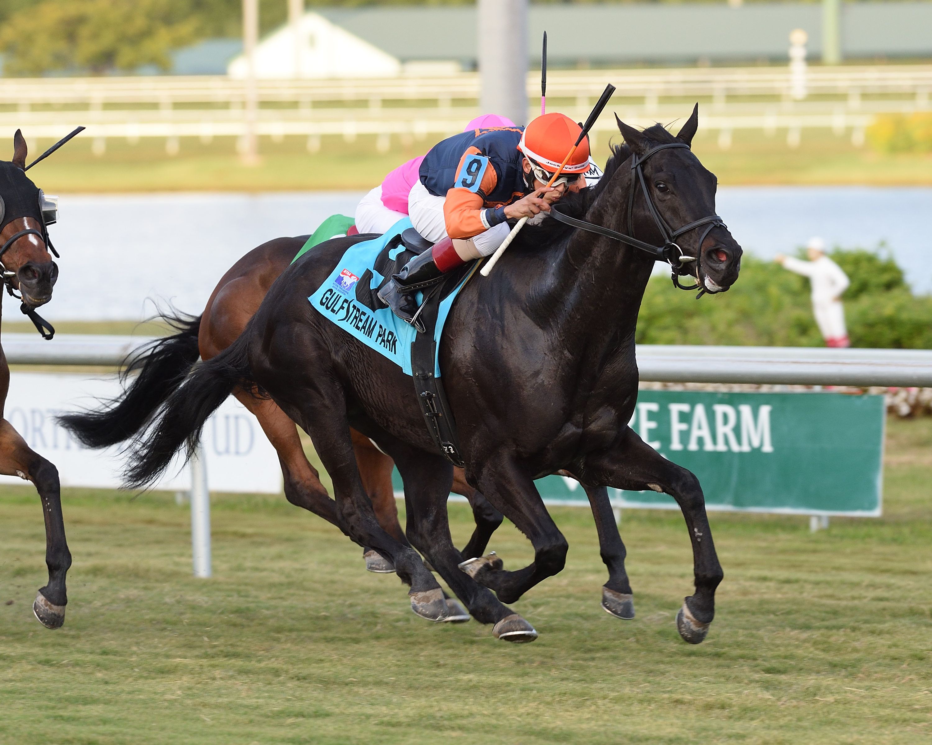 Shakhimat wins 2017 Tropical Turf