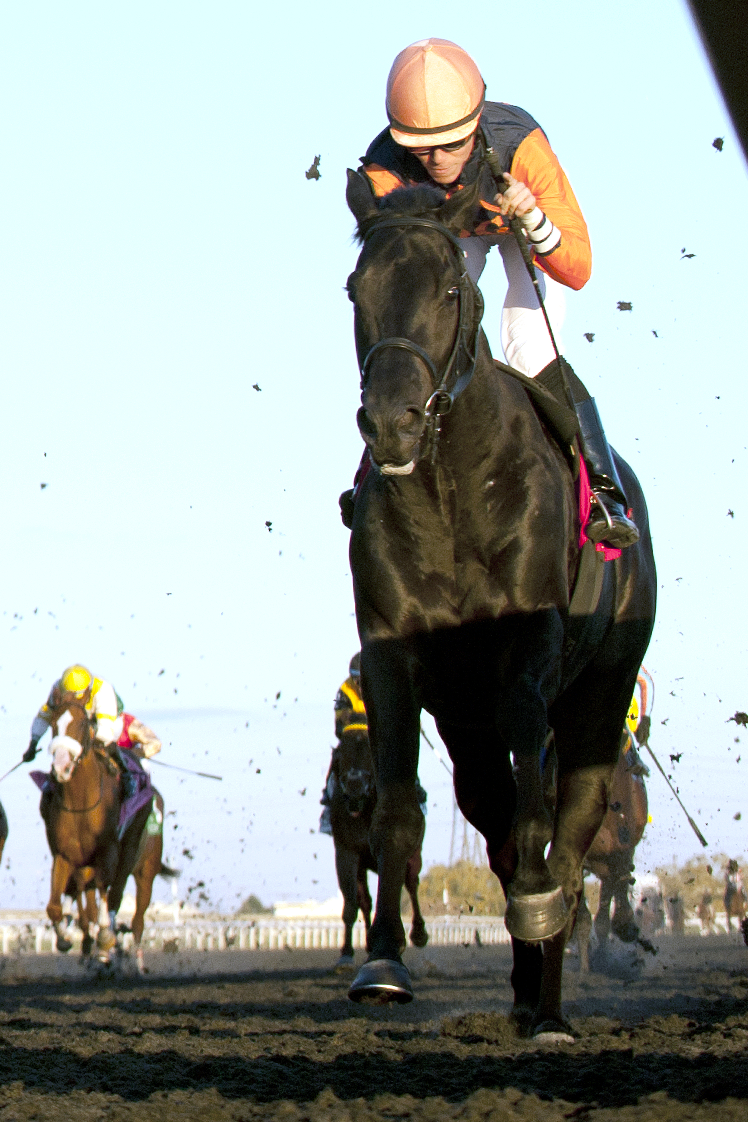 Shakhimat wins the Coronation Futurity Stakes
